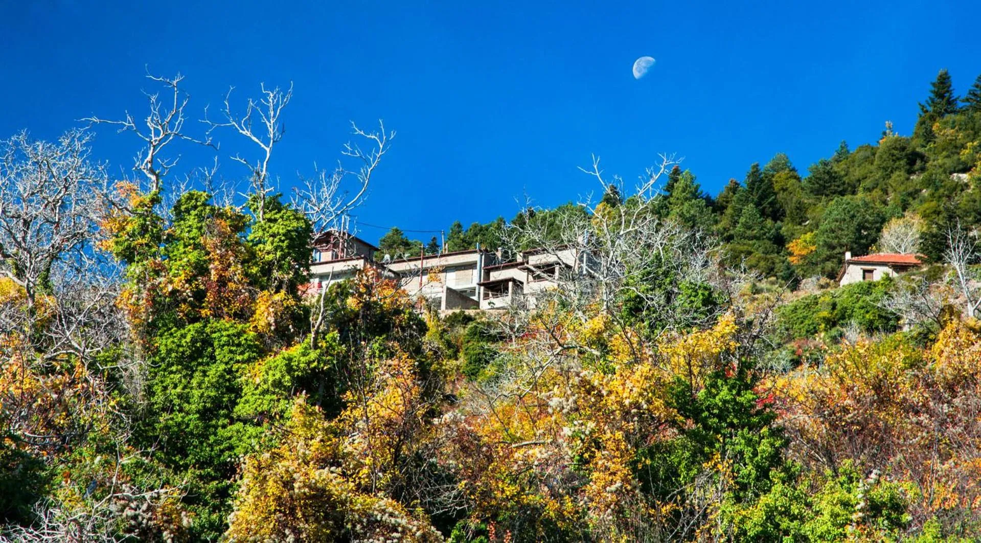 Archontiko Fiamegou Hotel&Spa