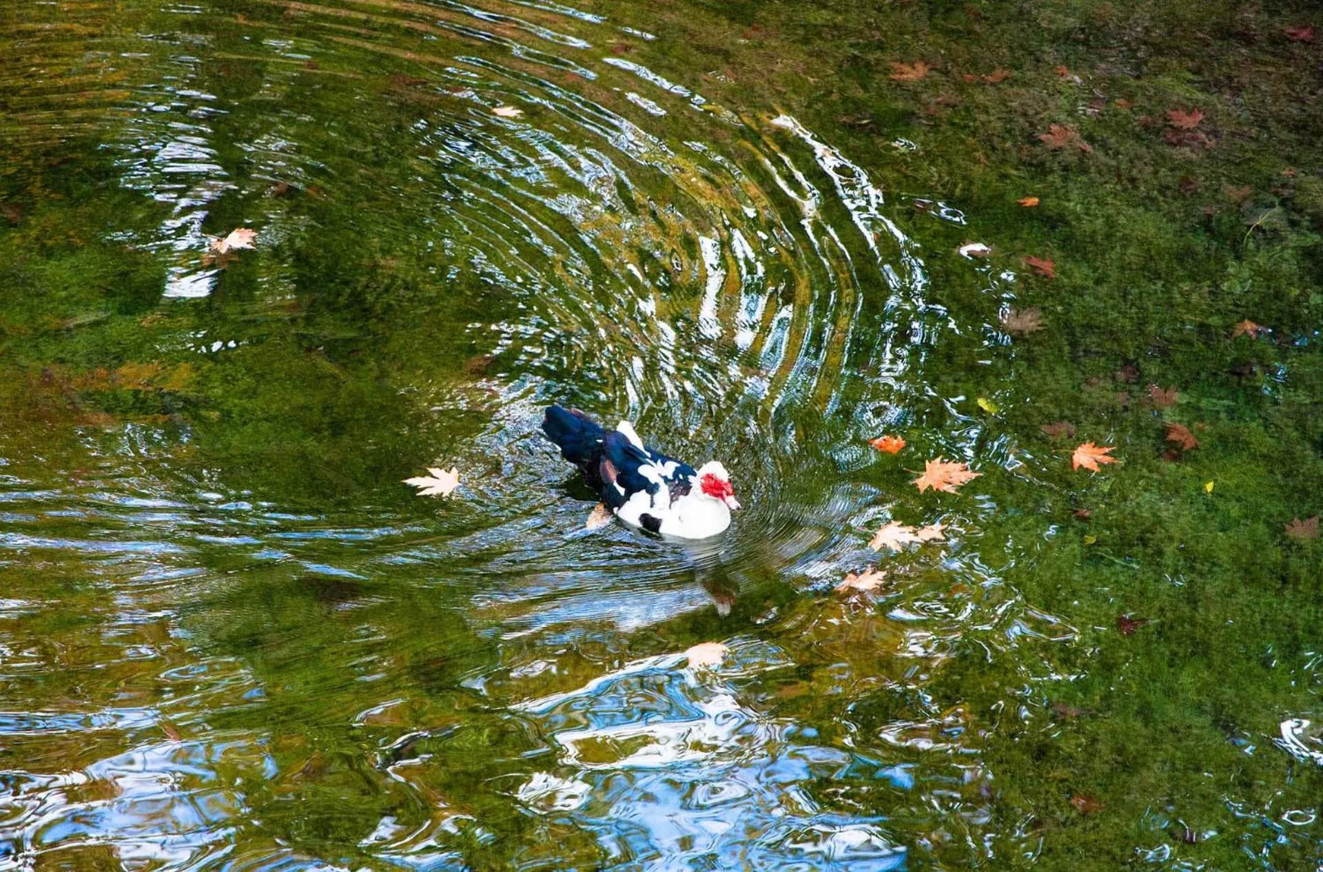 Archontiko Fiamegou Hotel&Spa