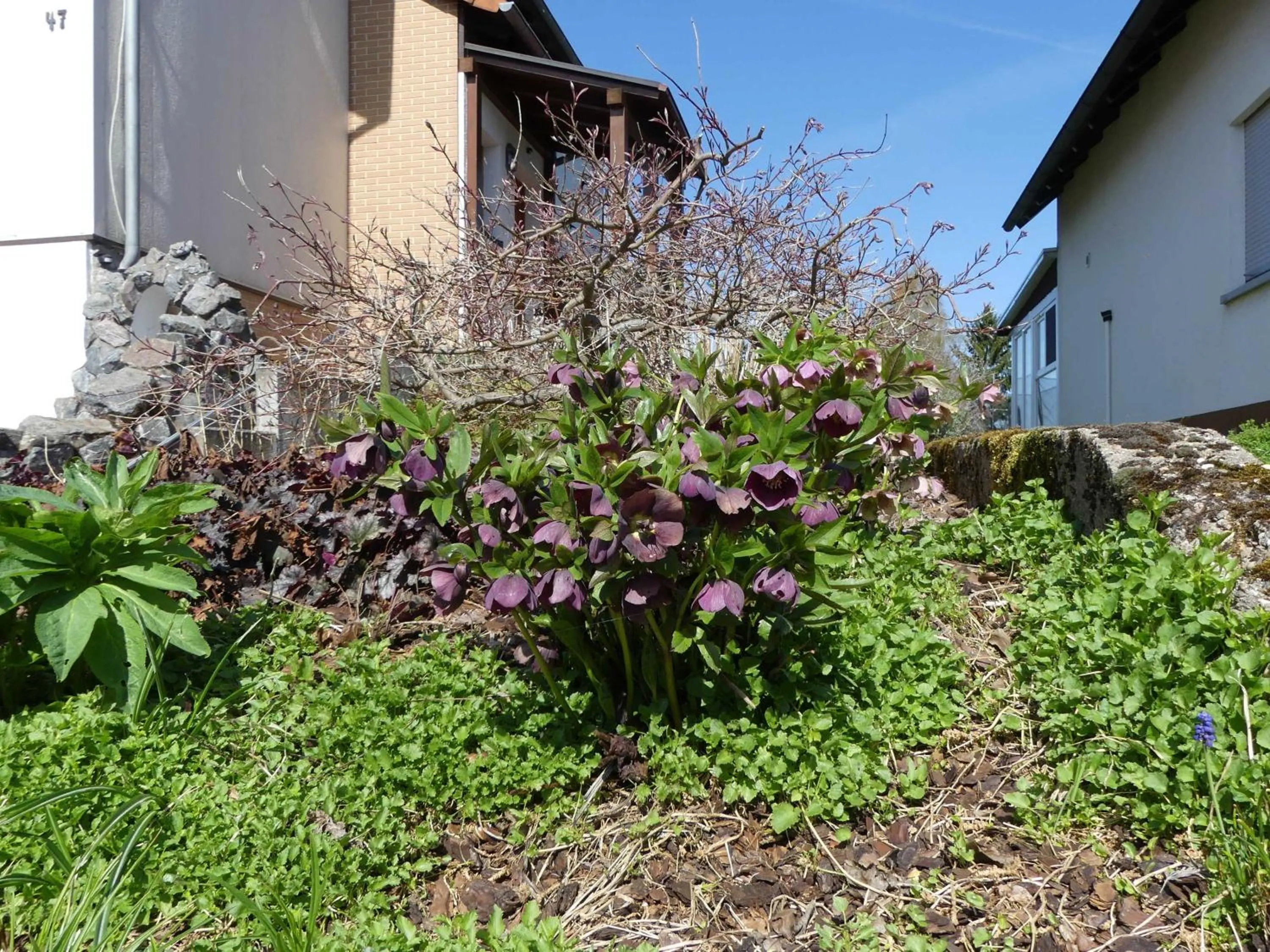 Ferienwohnung Schanbacher