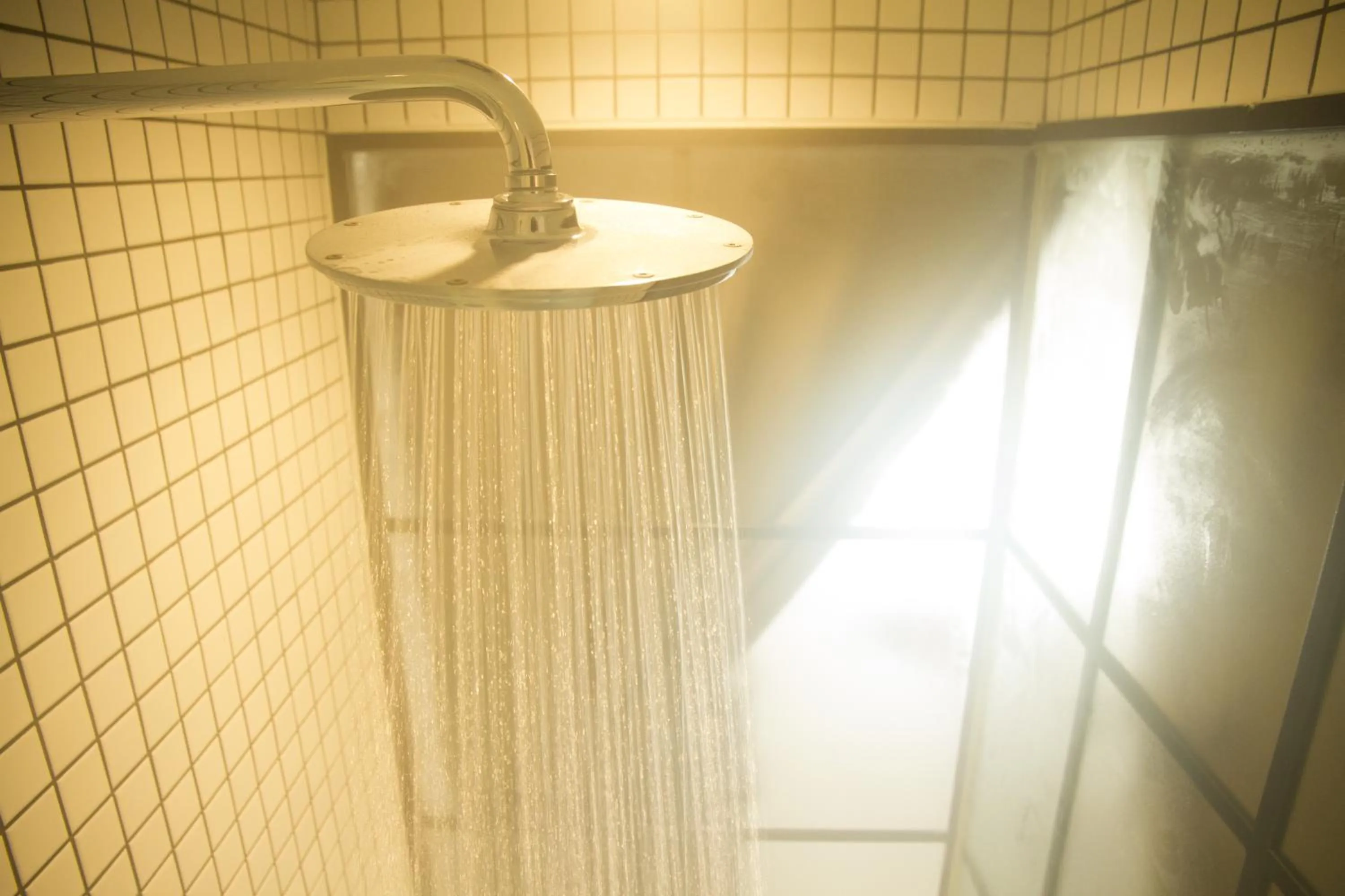 Shower in Magnova Studios