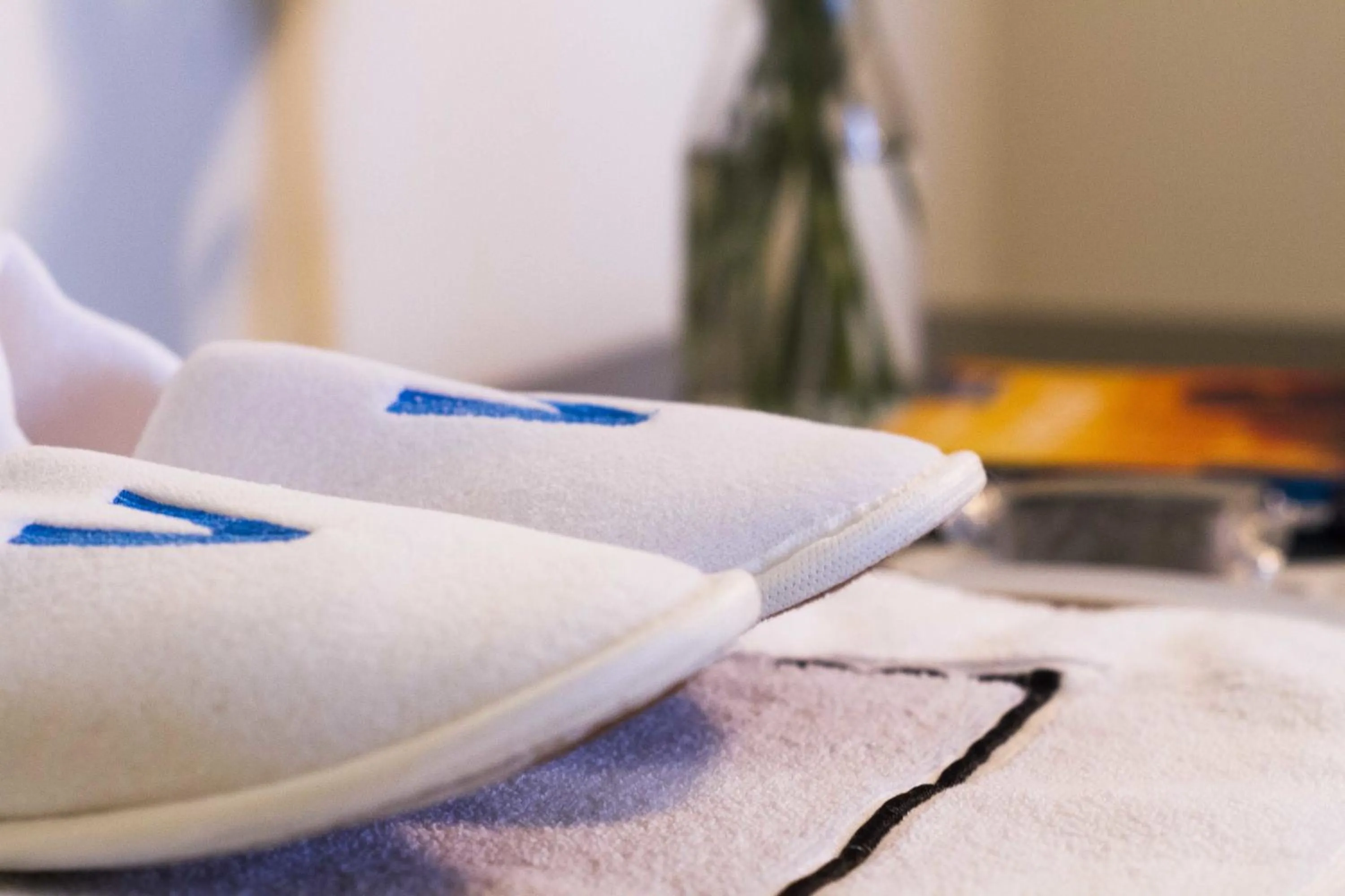 Decorative detail in Magnova Studios