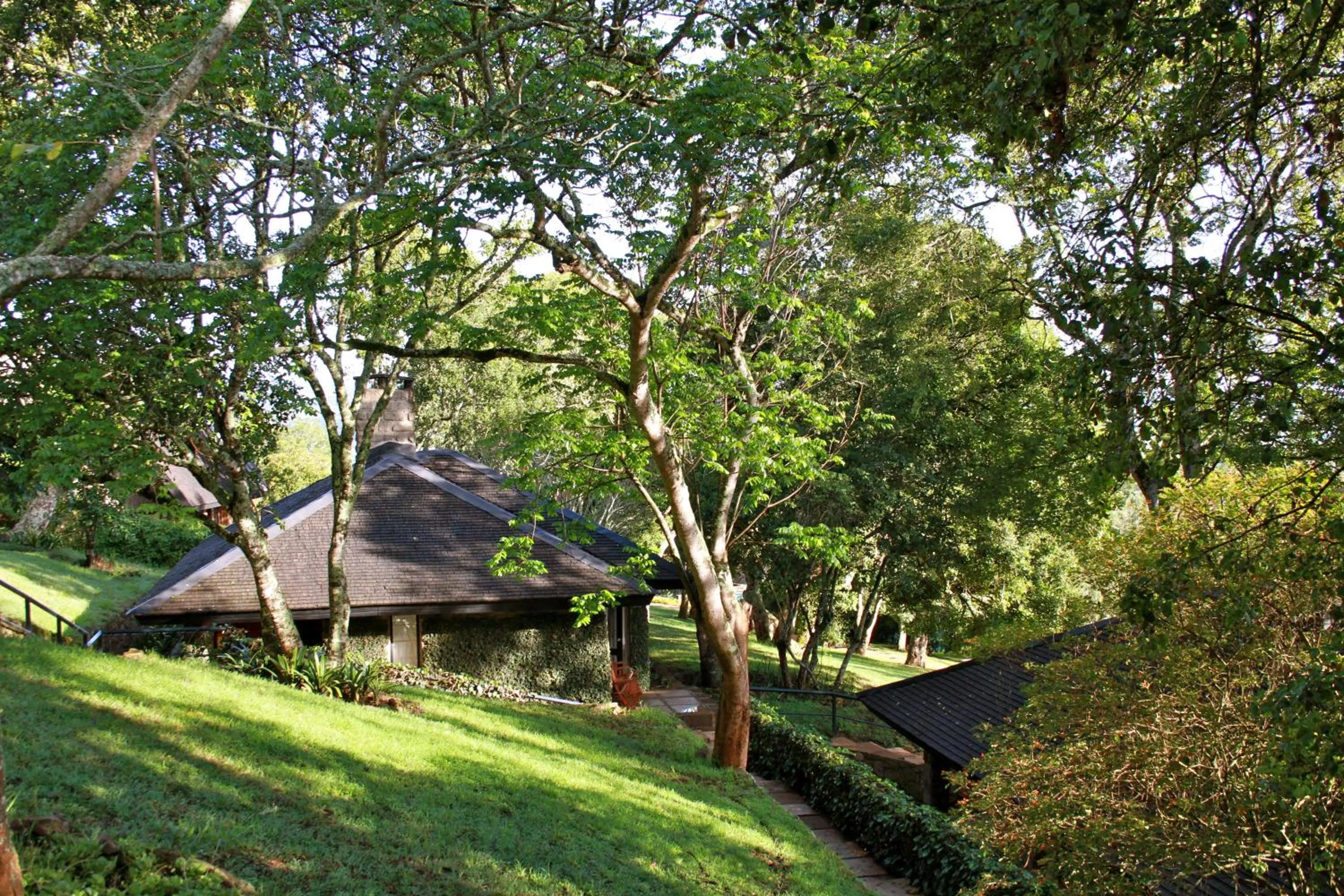 Garden view in The Aberdare Country Club