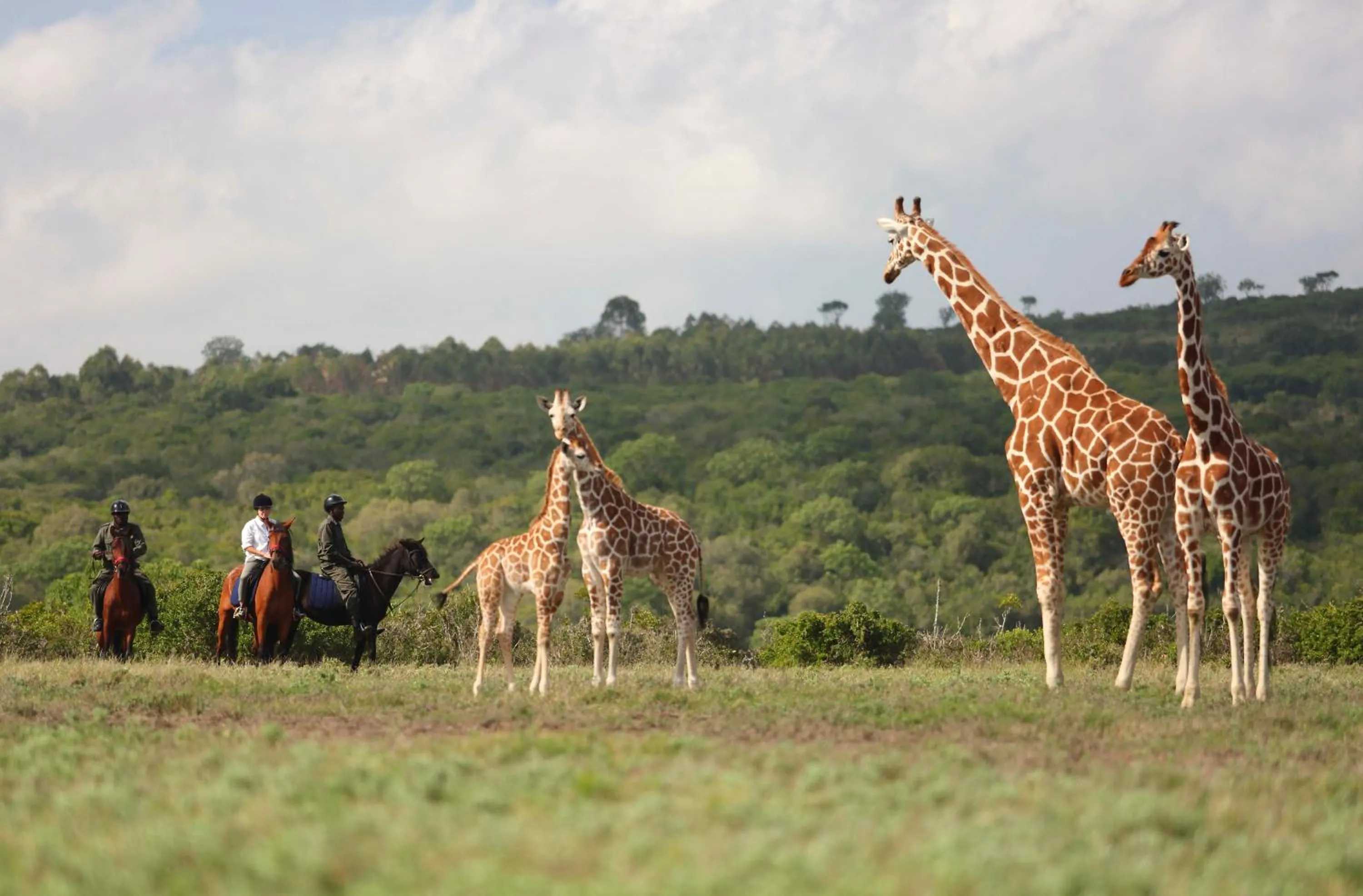 Horse-riding in The Aberdare Country Club