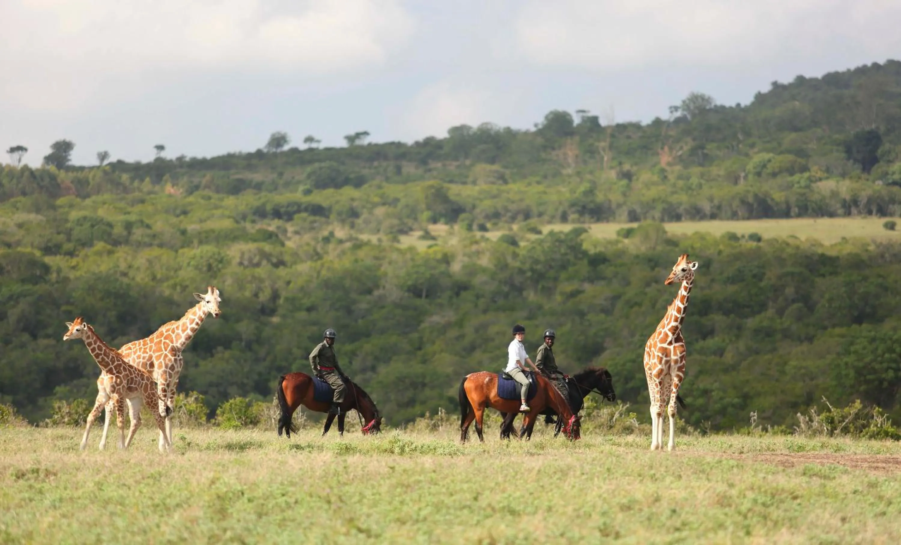 Horse-riding in The Aberdare Country Club
