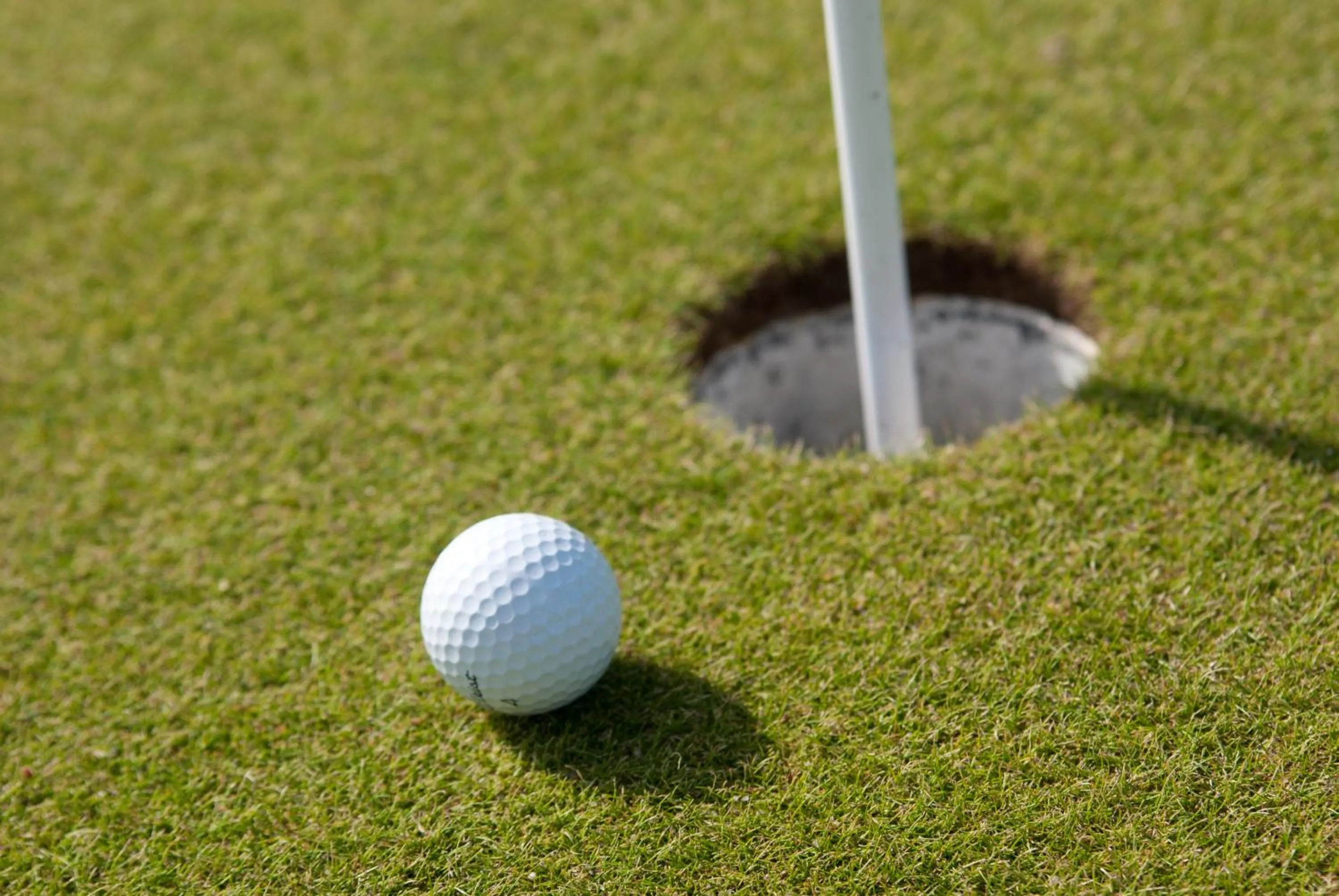 Activities in Villa Geisenhof