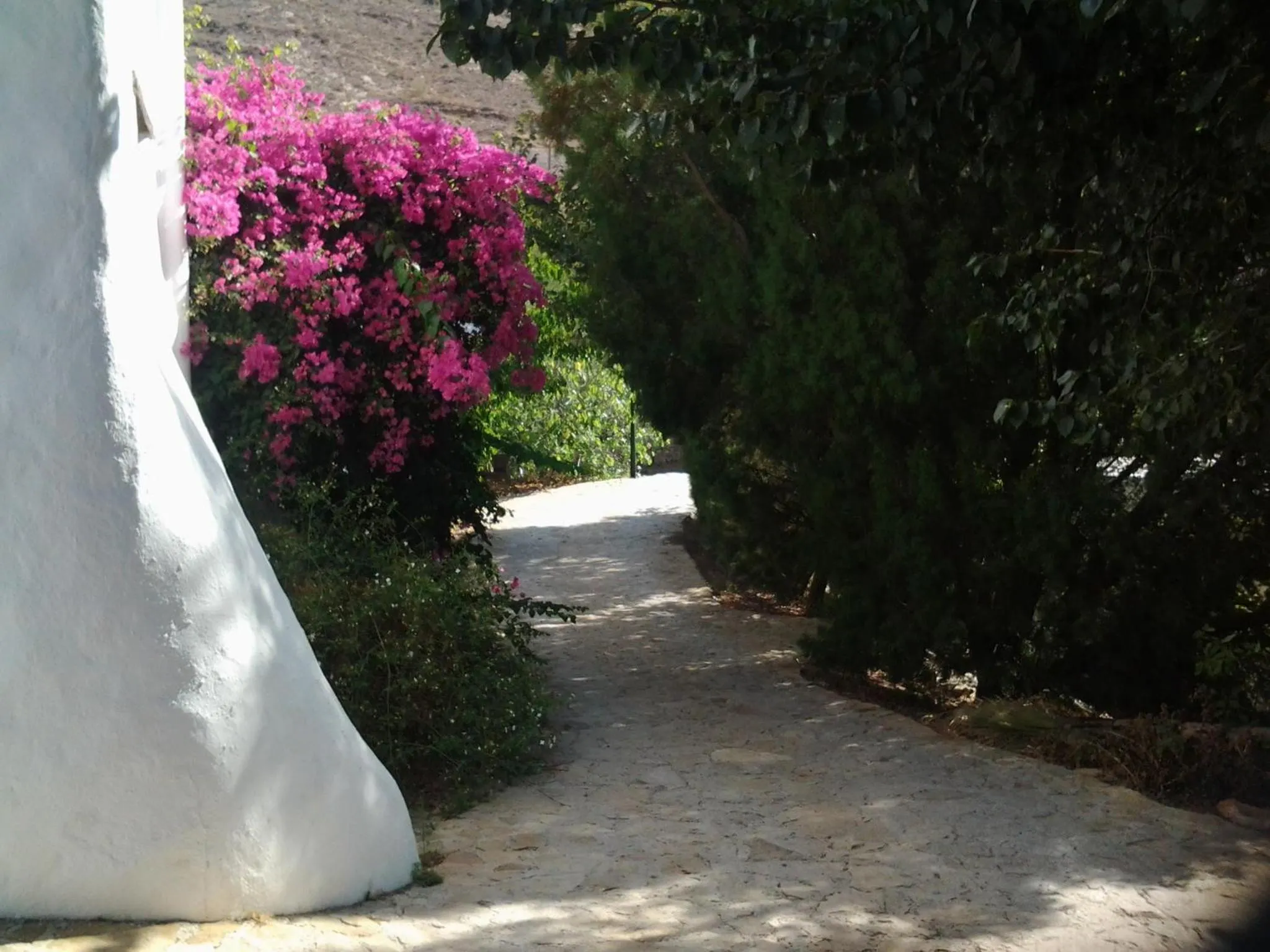 Facade/entrance in Casa Rural Cortijo La Alberca