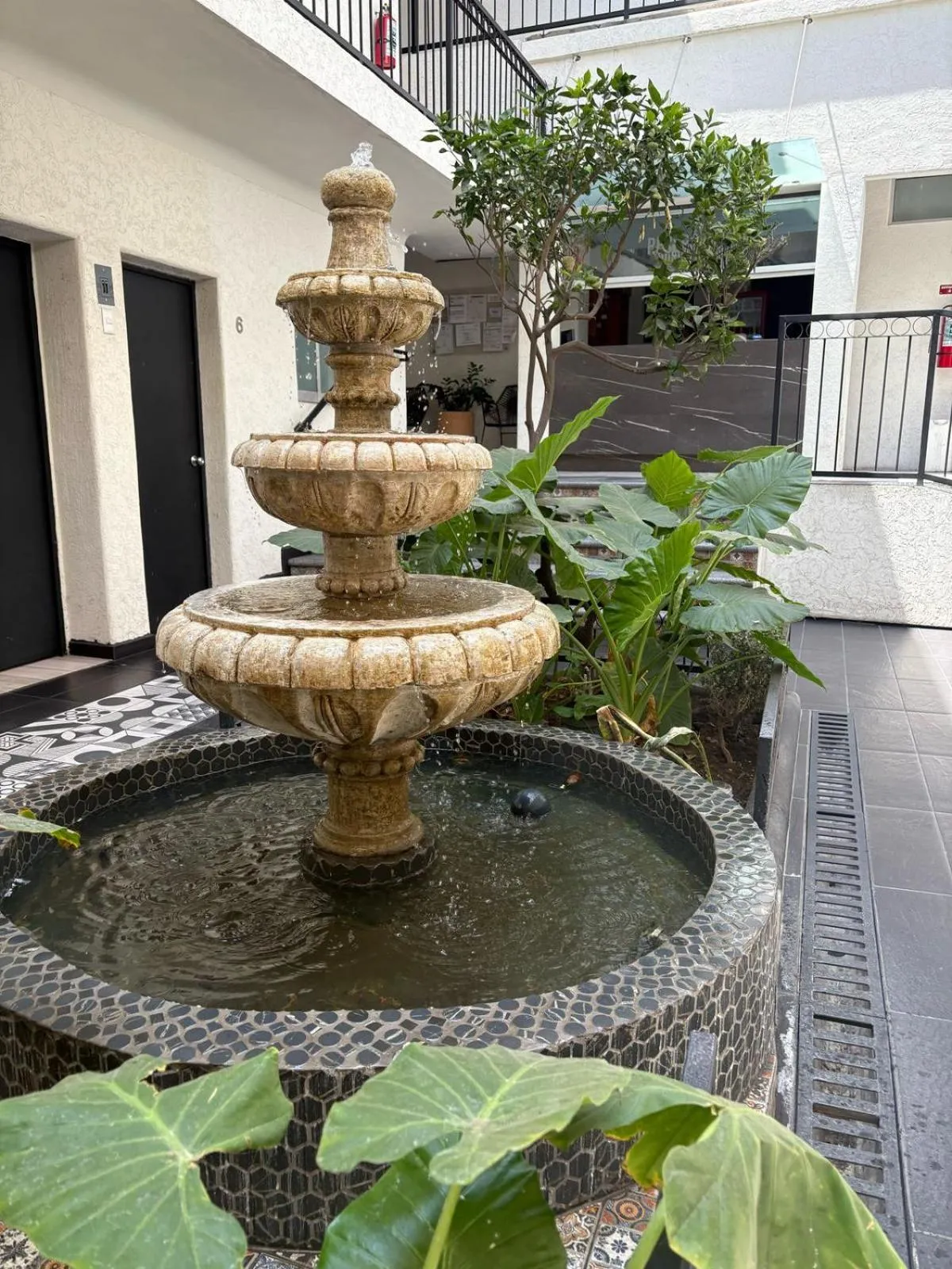 Patio in Hotel Gallo