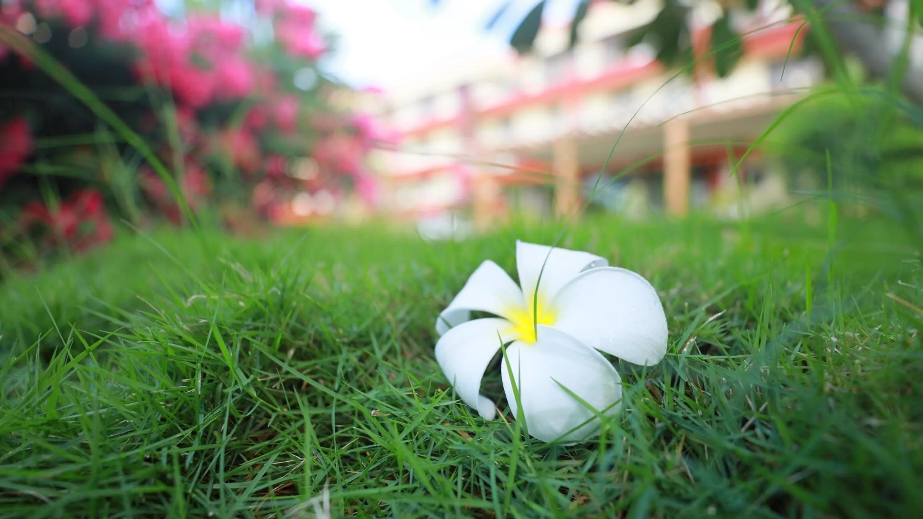 Property building in Beach Garden Hotel