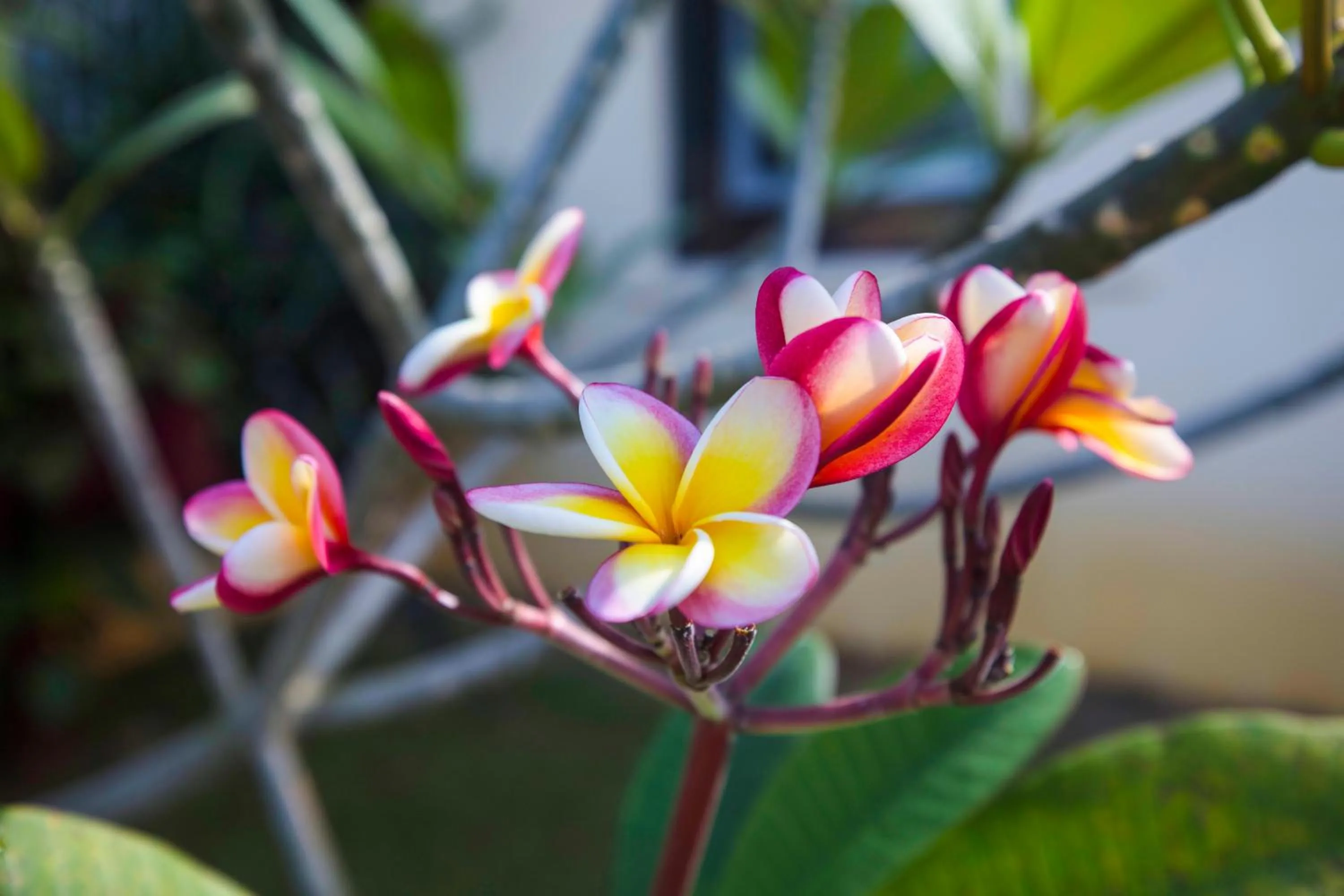 Property building in Beach Garden Hotel