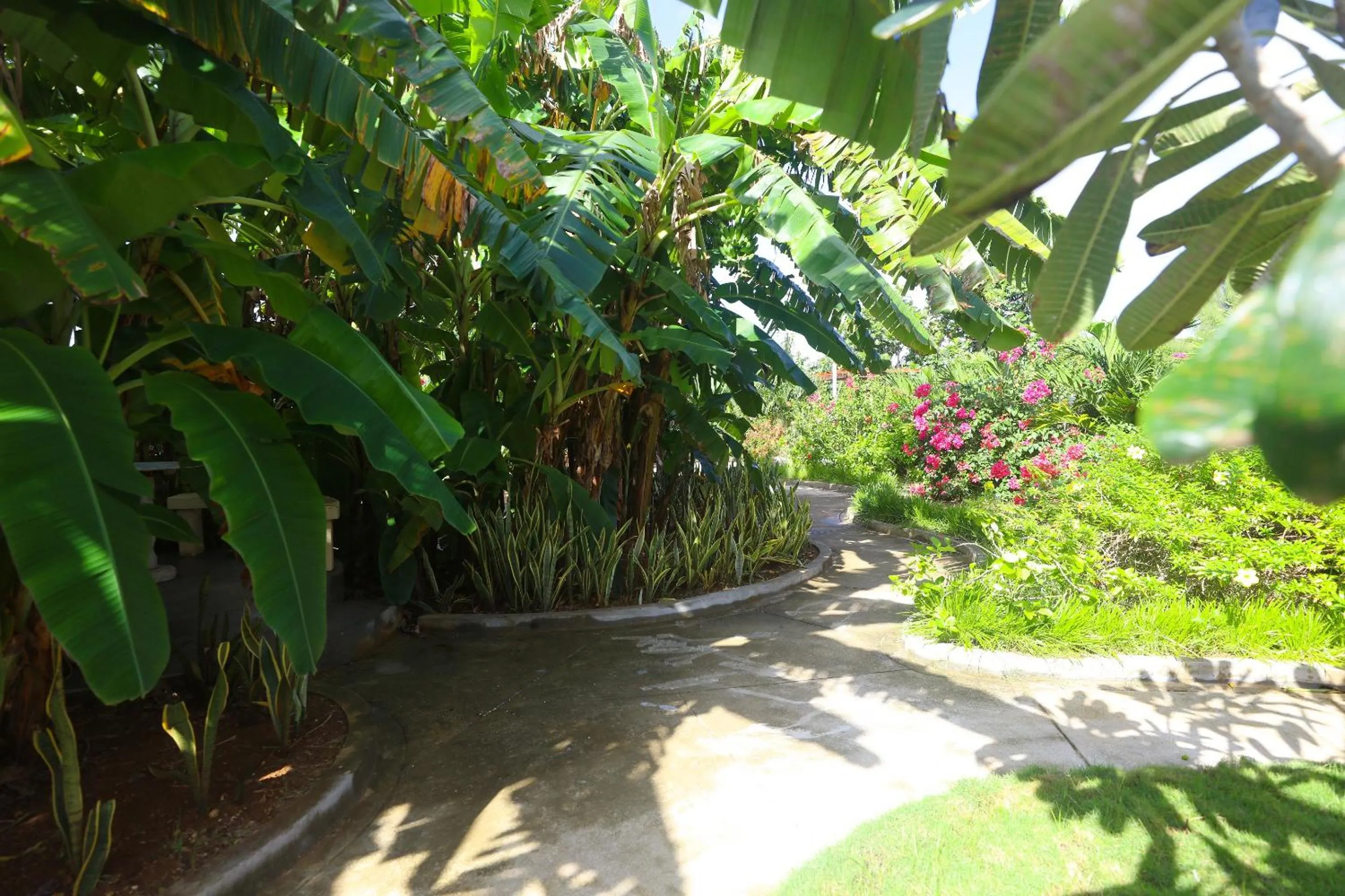 Property building in Beach Garden Hotel