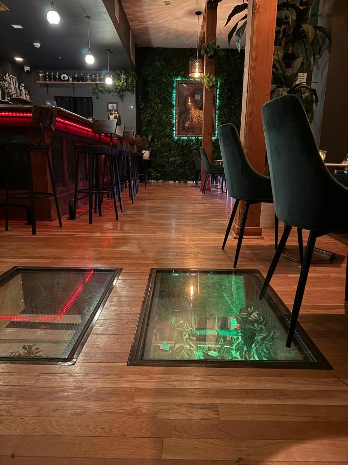 Lounge or bar in Unicorn Zebra