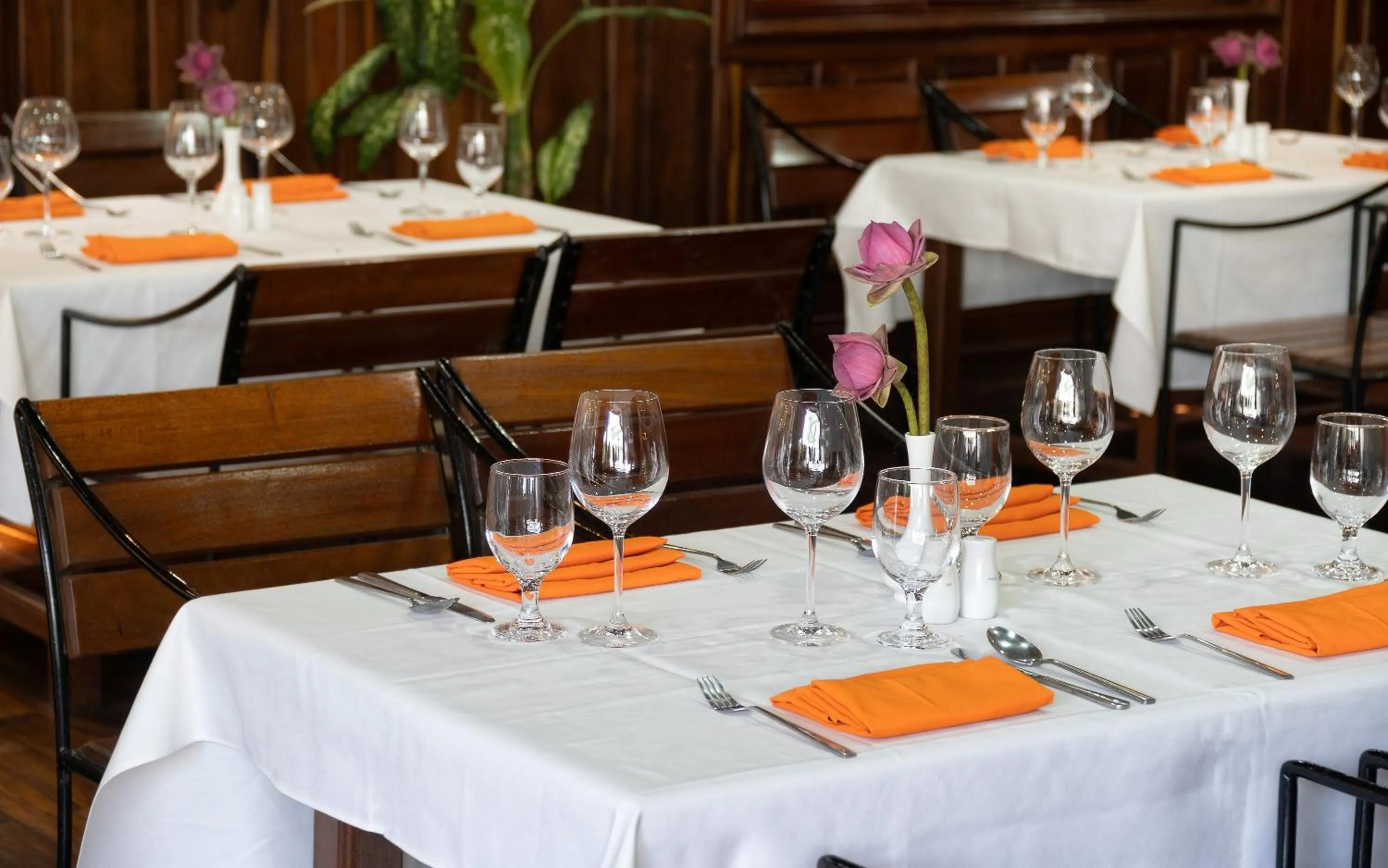 Restaurant/places to eat in Siem Reap Center Hotel