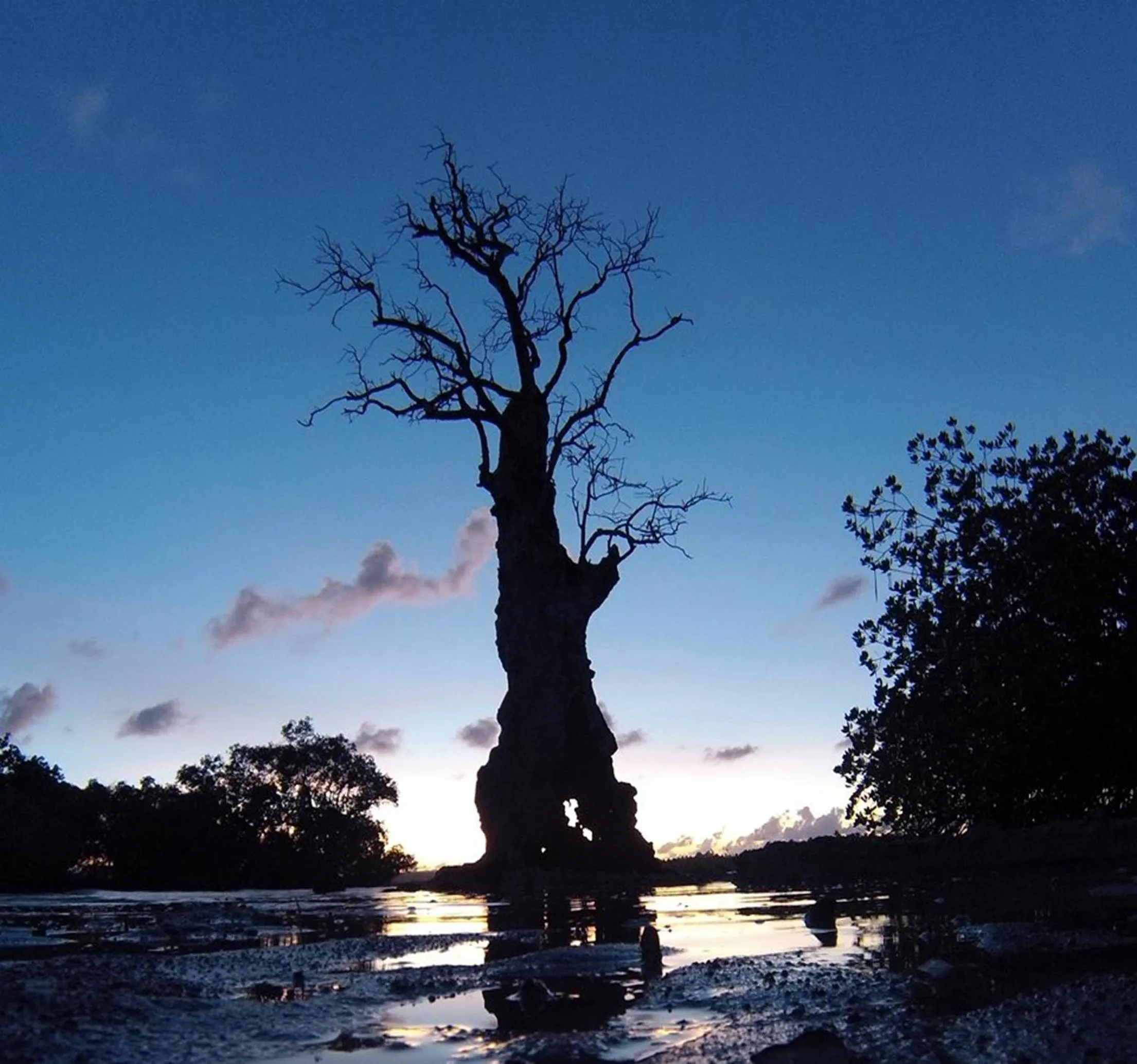 Sea view in Siargao Sunset Bay Beach Villas
