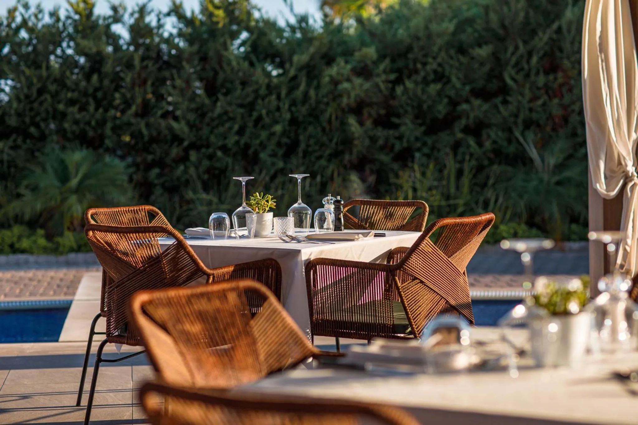 Restaurant/places to eat in Mare Ayia Napa