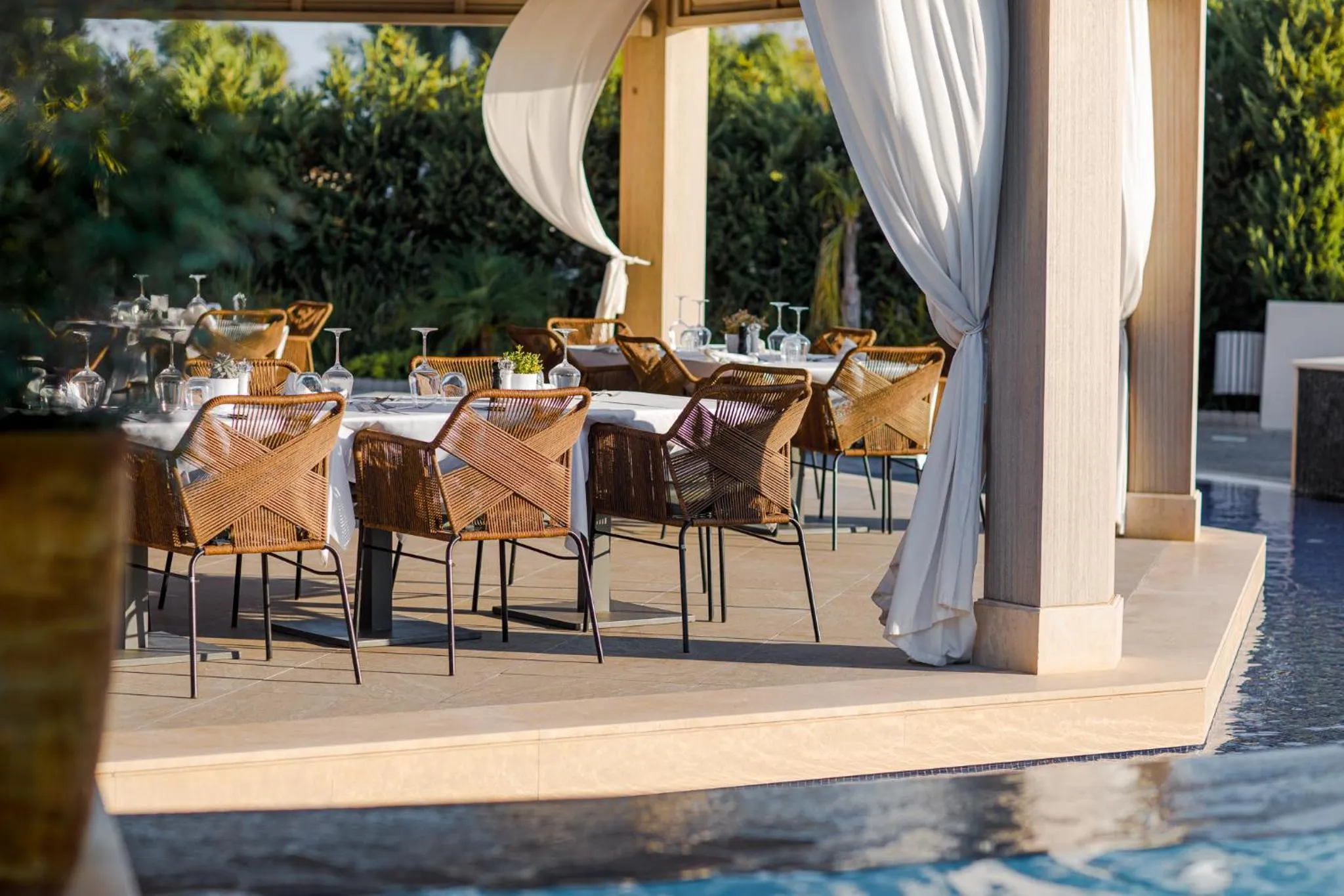 Restaurant/places to eat in Mare Ayia Napa