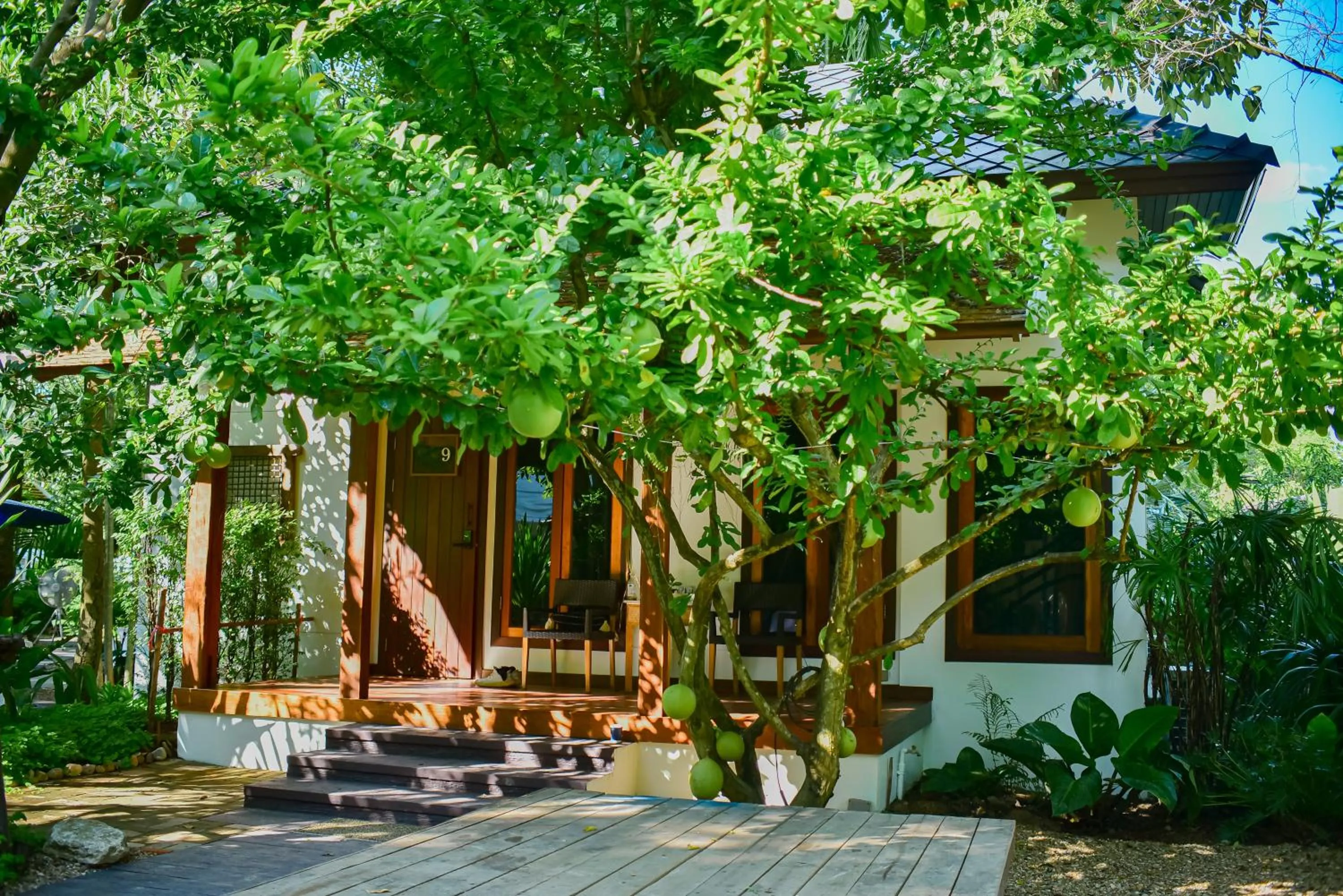 Property building in Tai Resort