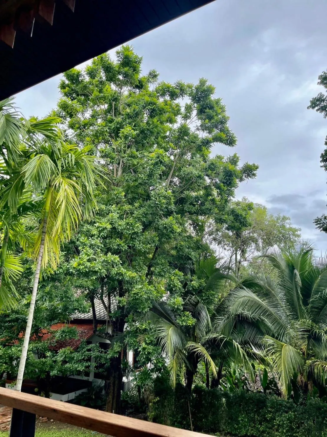 Natural landscape in Tai Resort