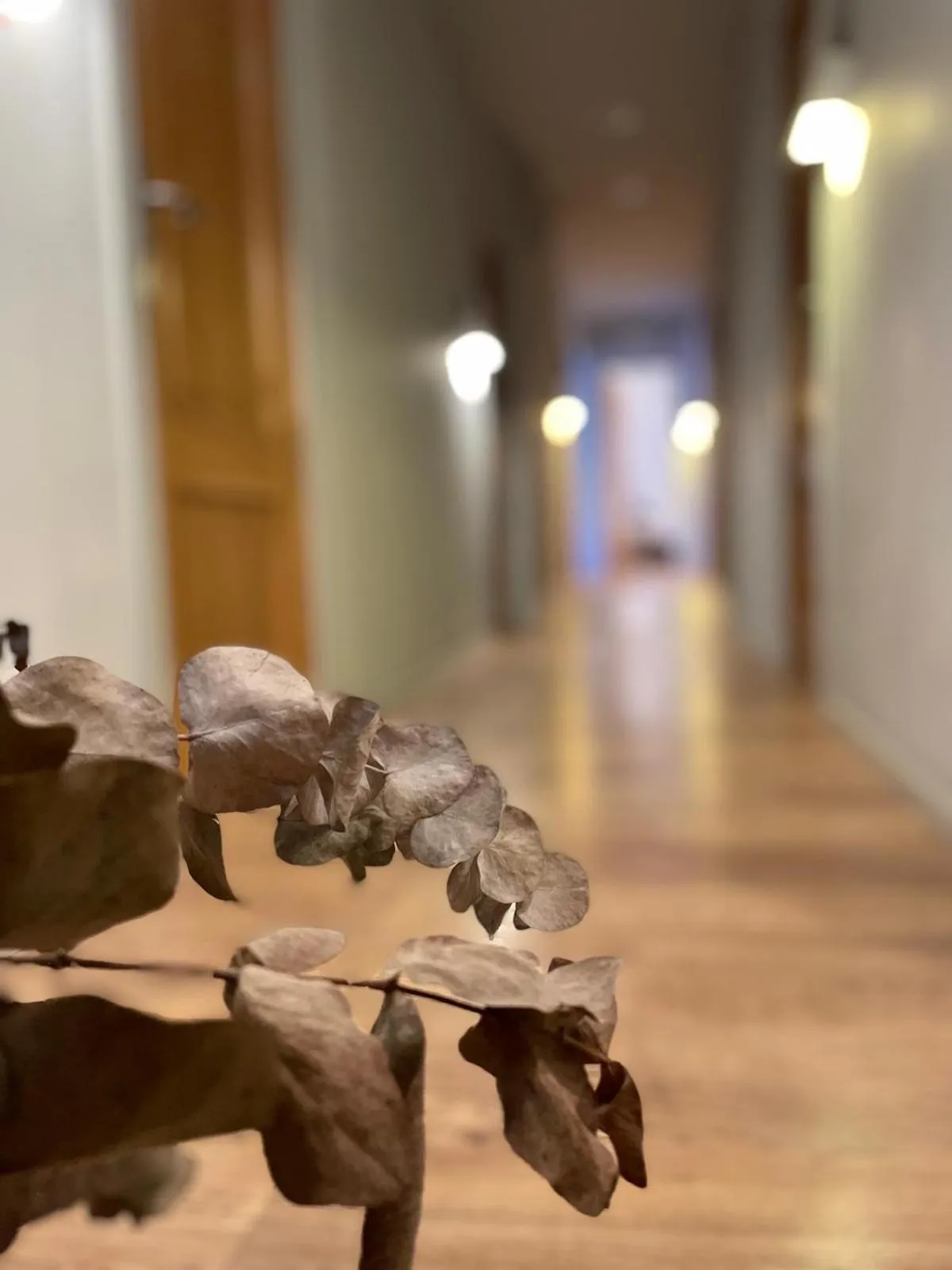 Area and facilities in Lar Atlántica