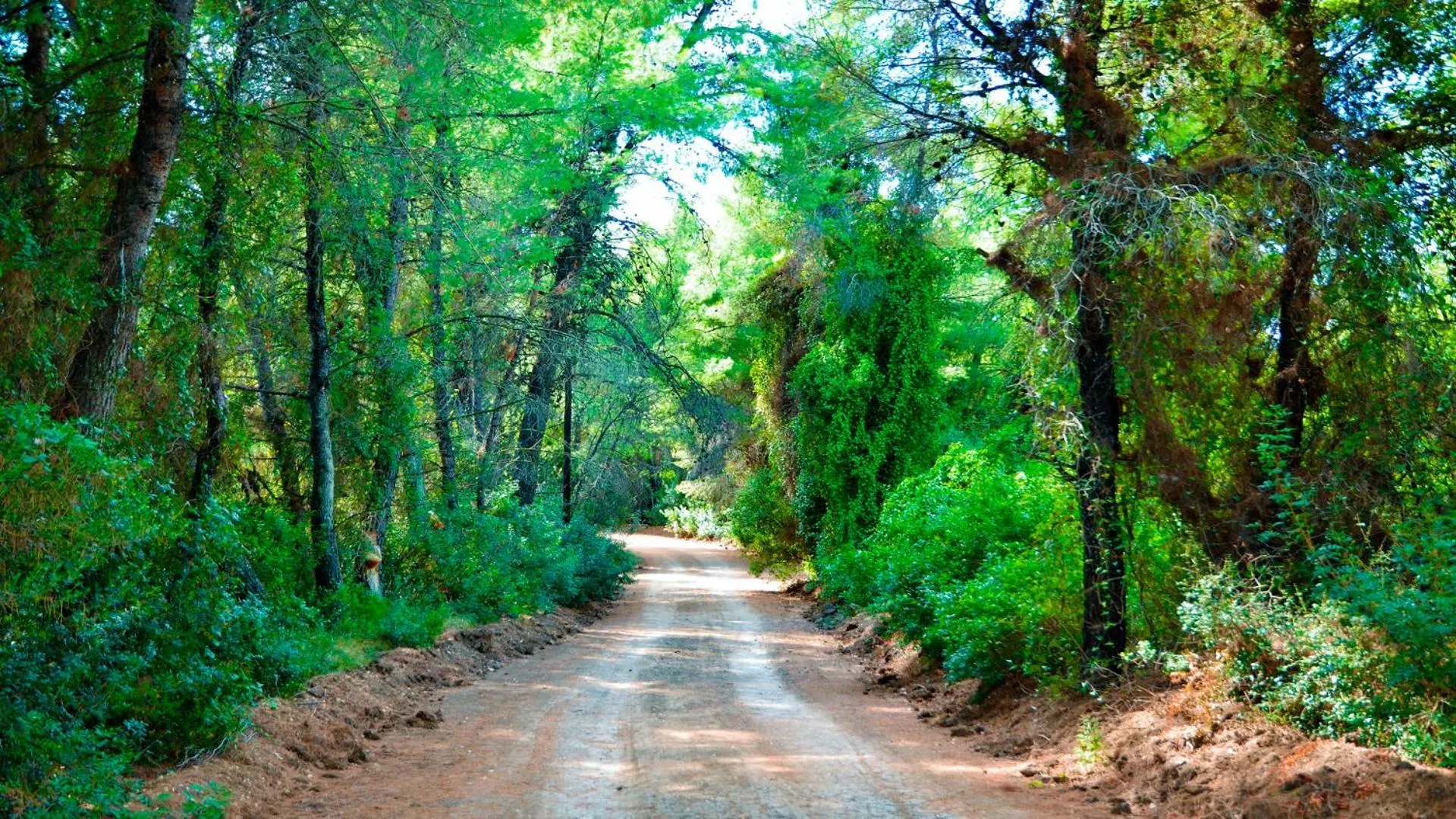 Nearby landmark in Akrogiali Exclusive Hotel (Adults Only)