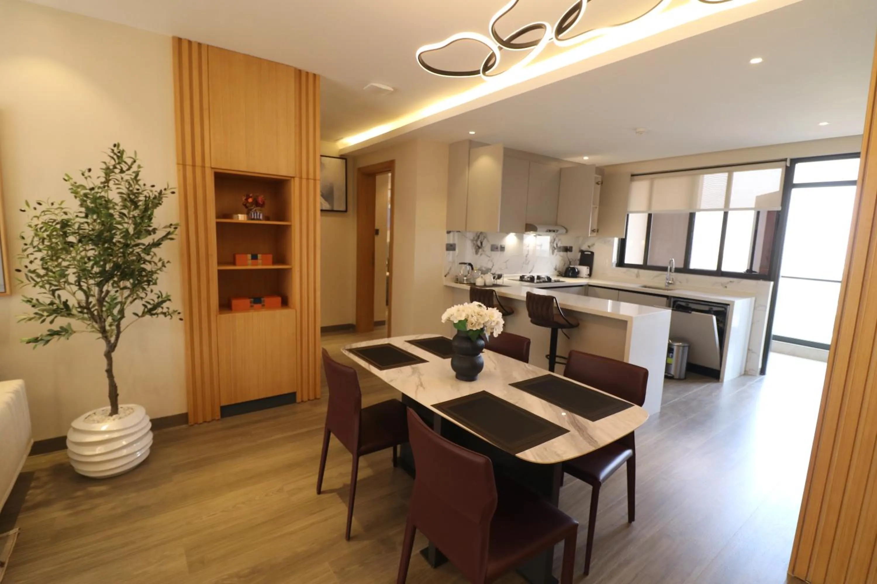Kitchen or kitchenette in Abrish Hotel and Apartment