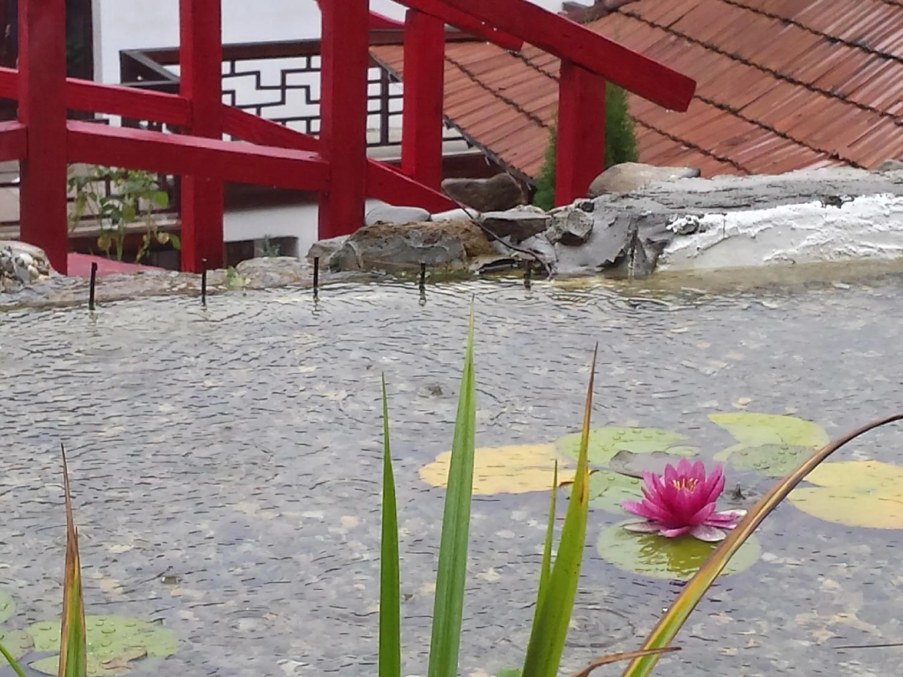 Nearby landmark in Casa Lily - Japanese Retreat