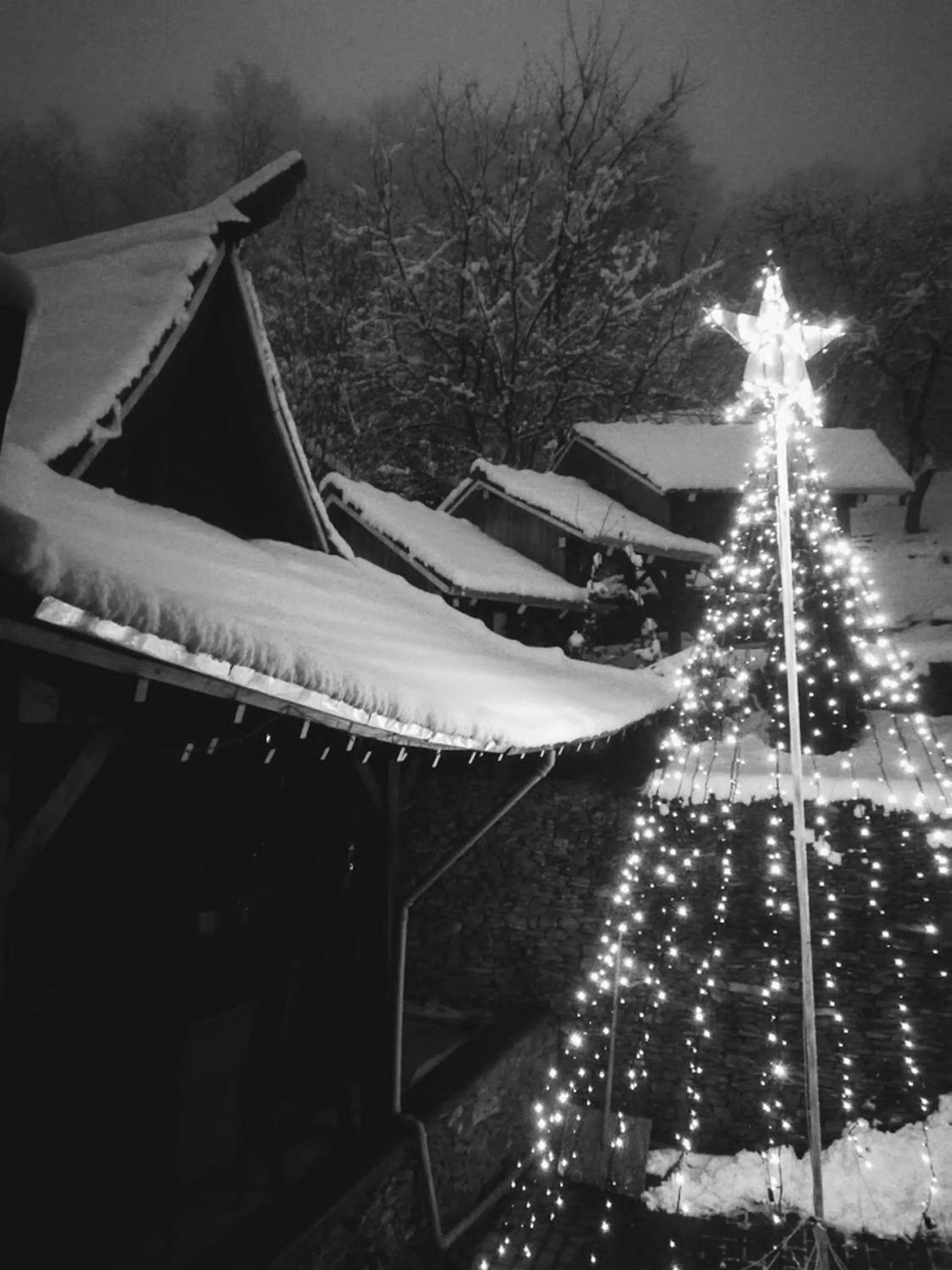 Winter in Casa Lily - Japanese Retreat