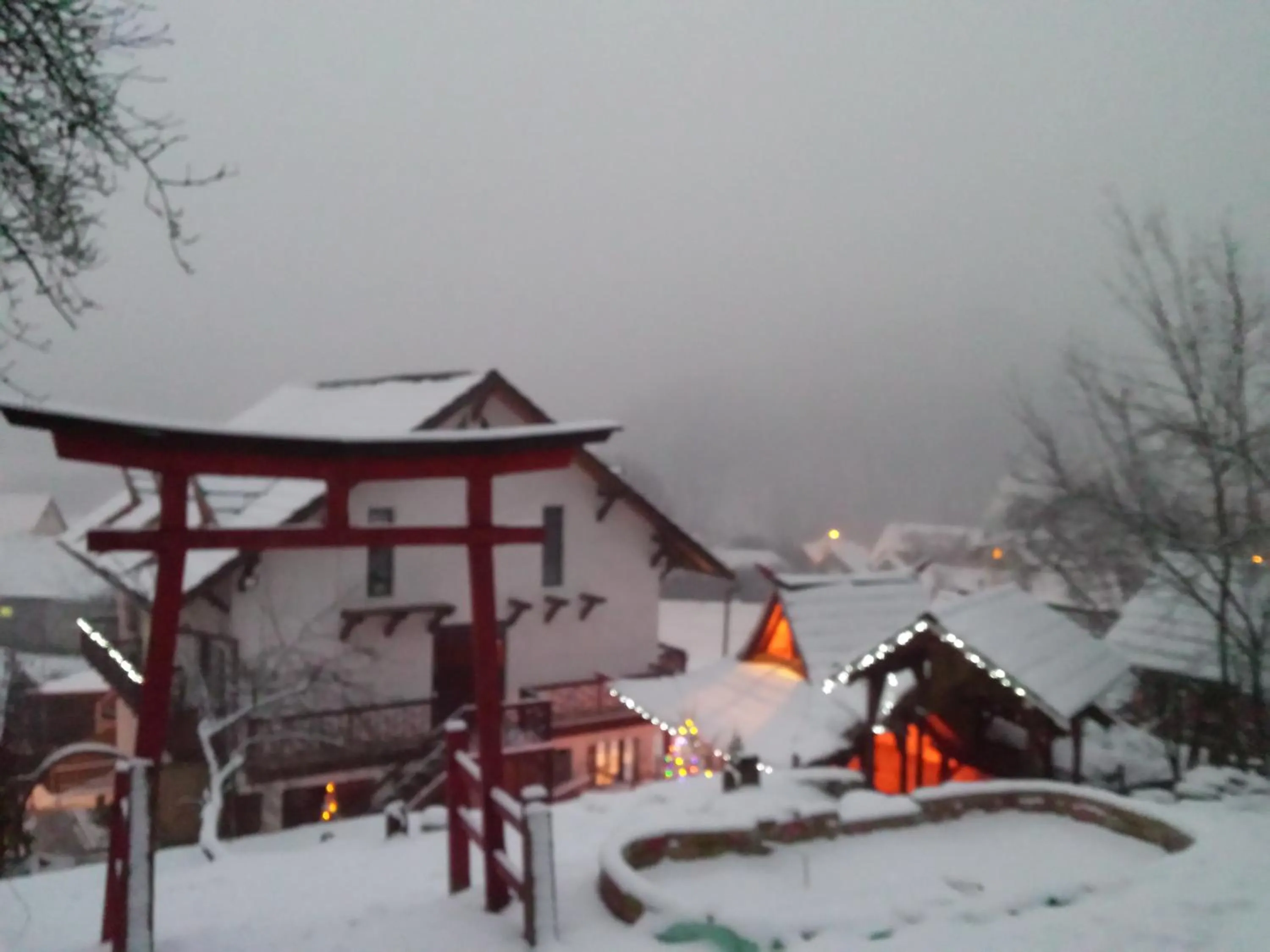 Bird's eye view in Casa Lily - Japanese Retreat