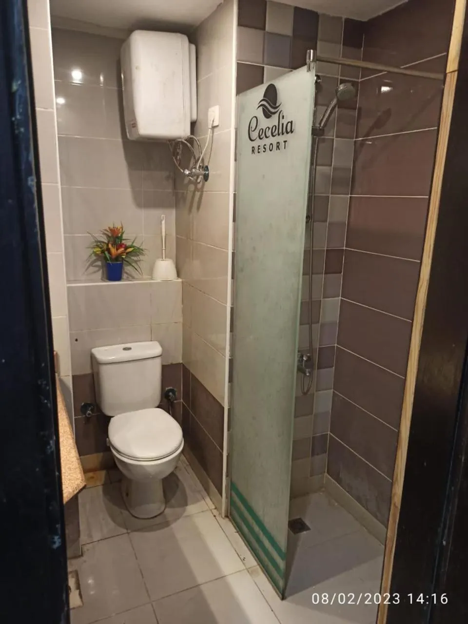 Cecelia Resort - Studio chalet