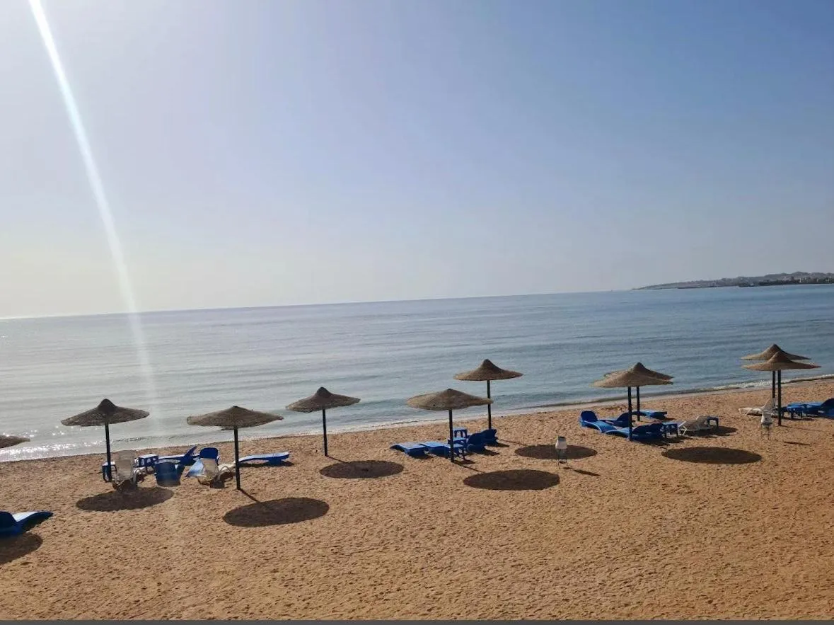 Cecelia Resort - Studio chalet