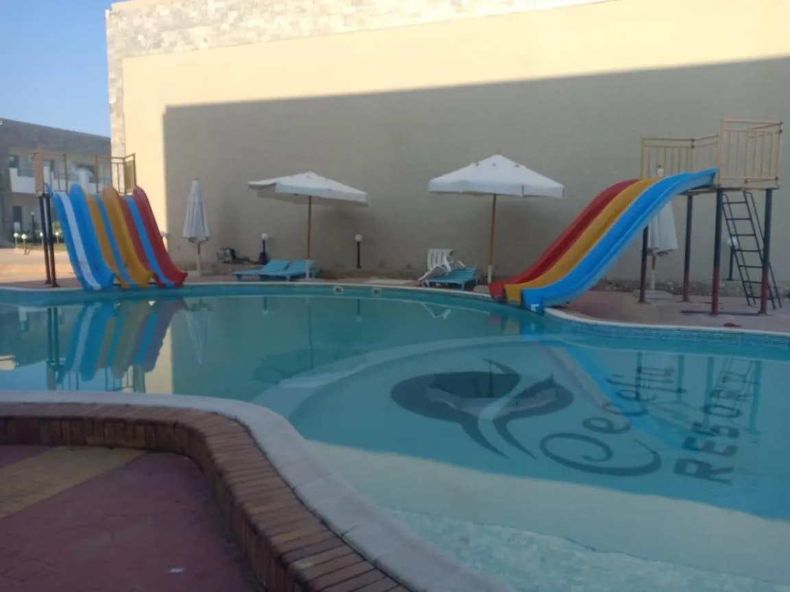 Cecelia Resort - Studio chalet