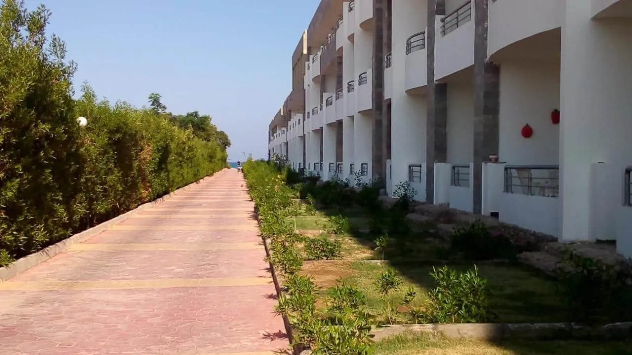 Cecelia Resort - Studio chalet