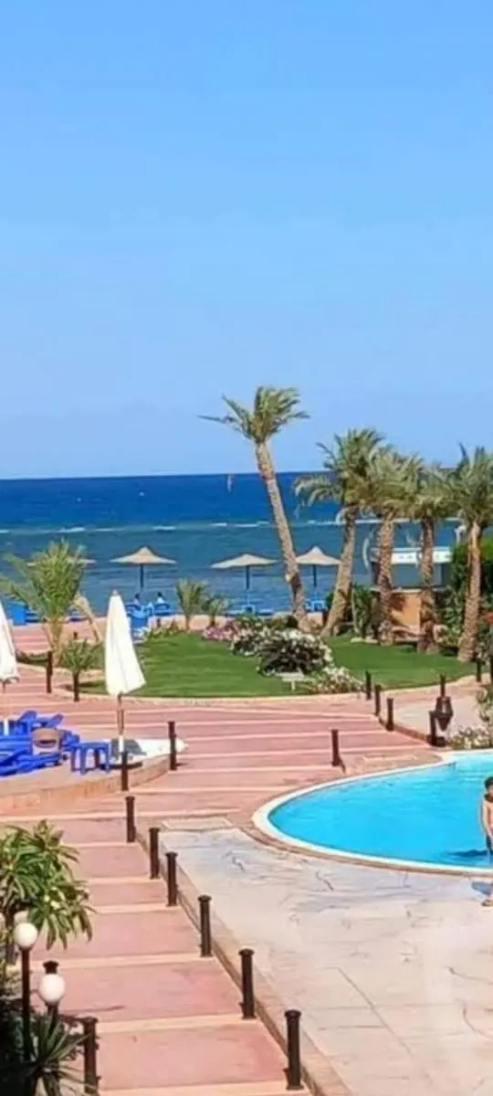 Cecelia Resort - Studio chalet