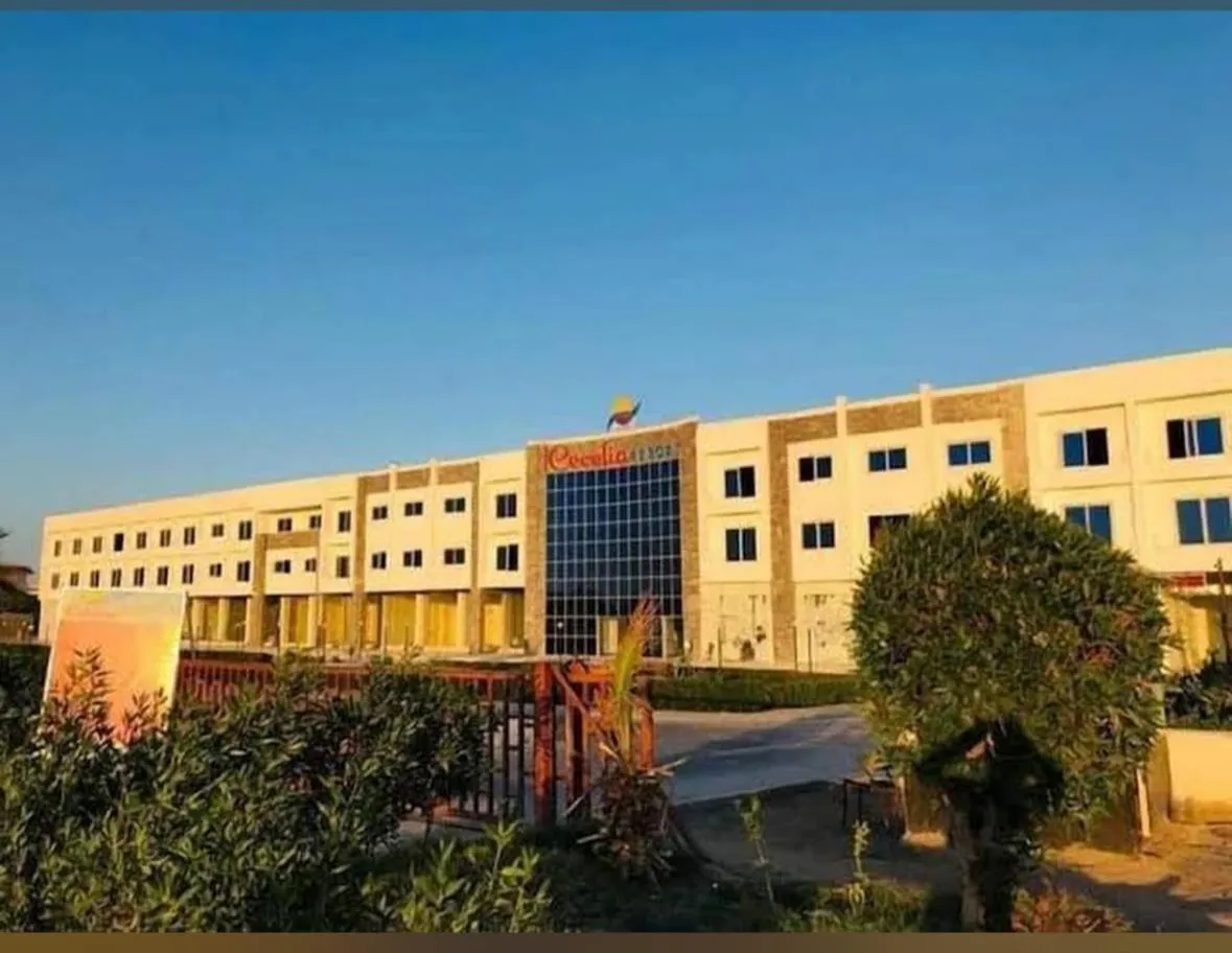 Cecelia Resort - Studio chalet