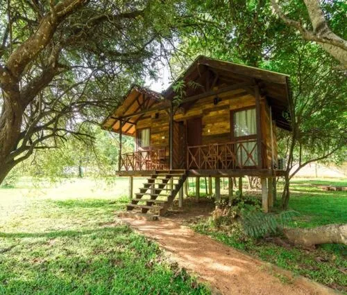 Day in Eighth Wonder Resort