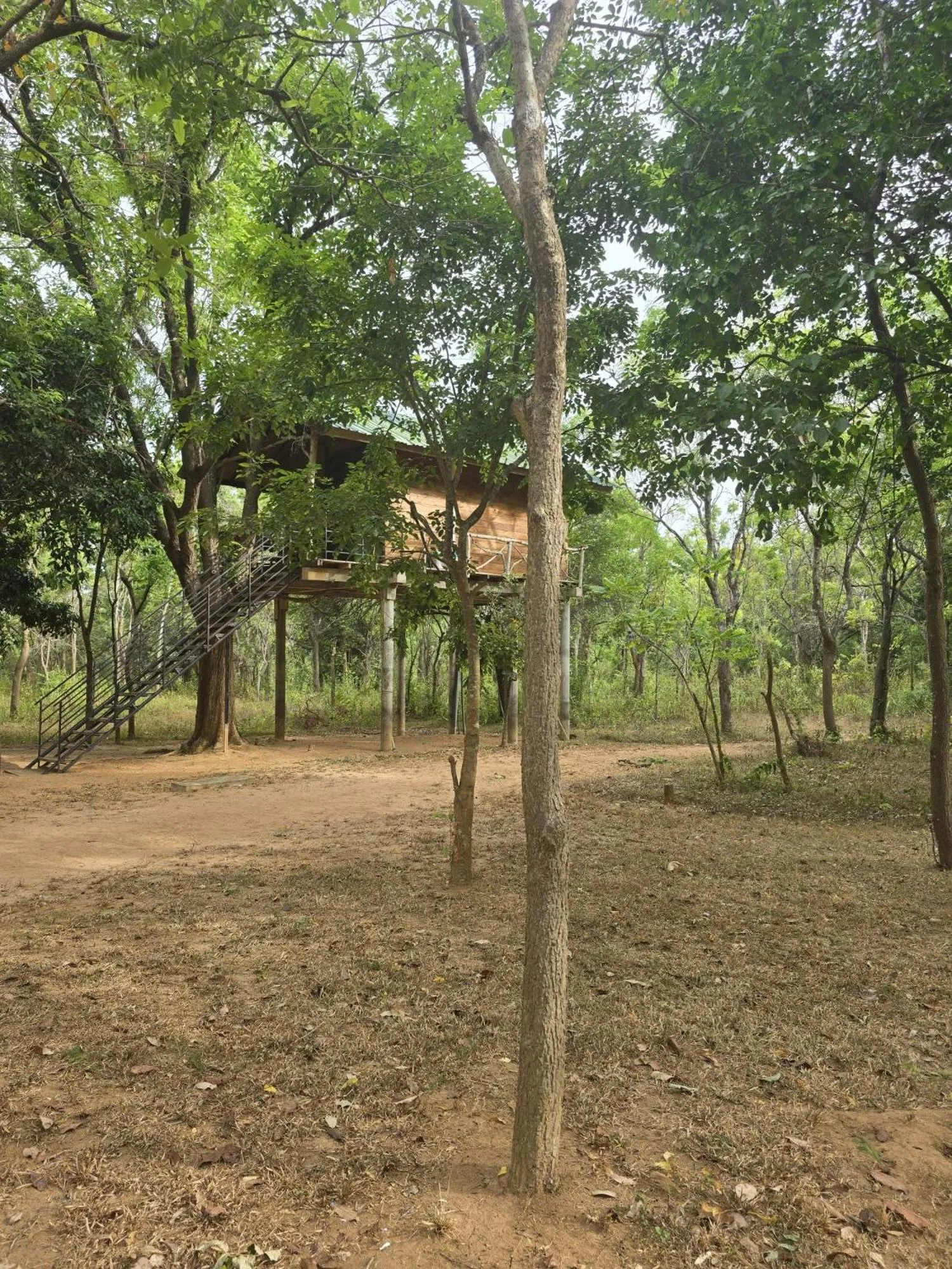 Garden in Eighth Wonder Resort