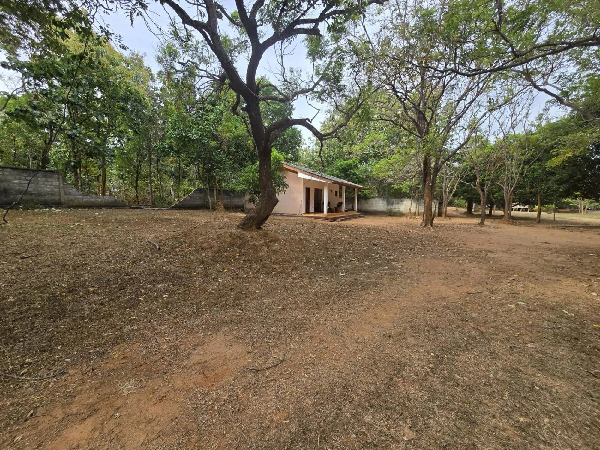 Garden in Eighth Wonder Resort