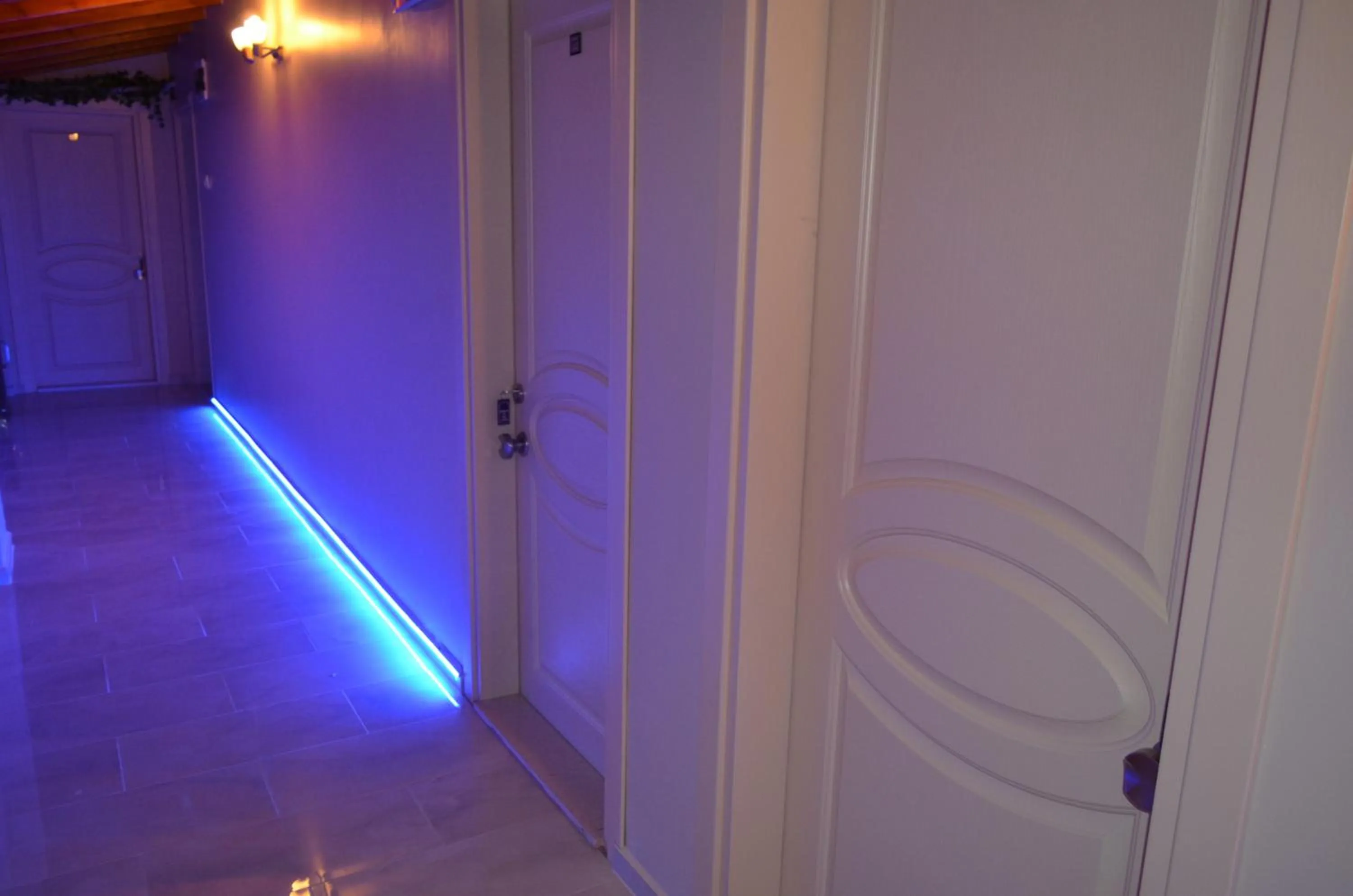 Decorative detail in Ada Palas Otel