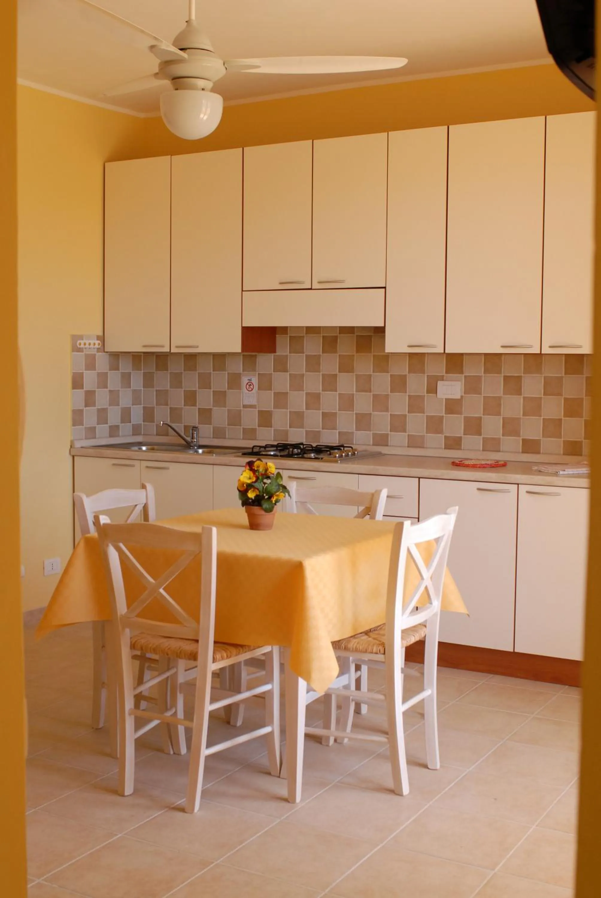 Kitchen or kitchenette in Le Nereidi Hotel & Residence