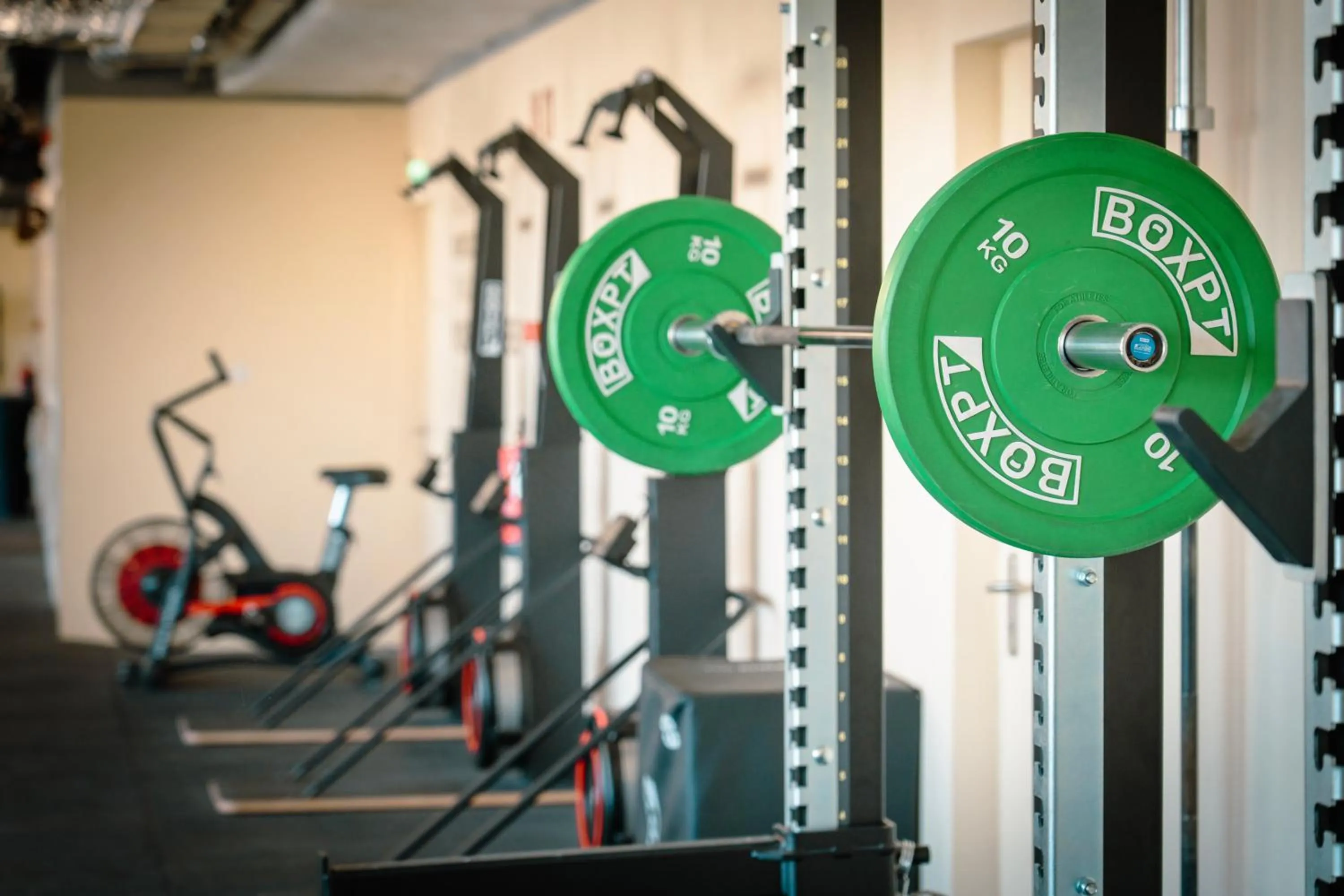 Fitness centre/facilities in Hotel Acta Moa