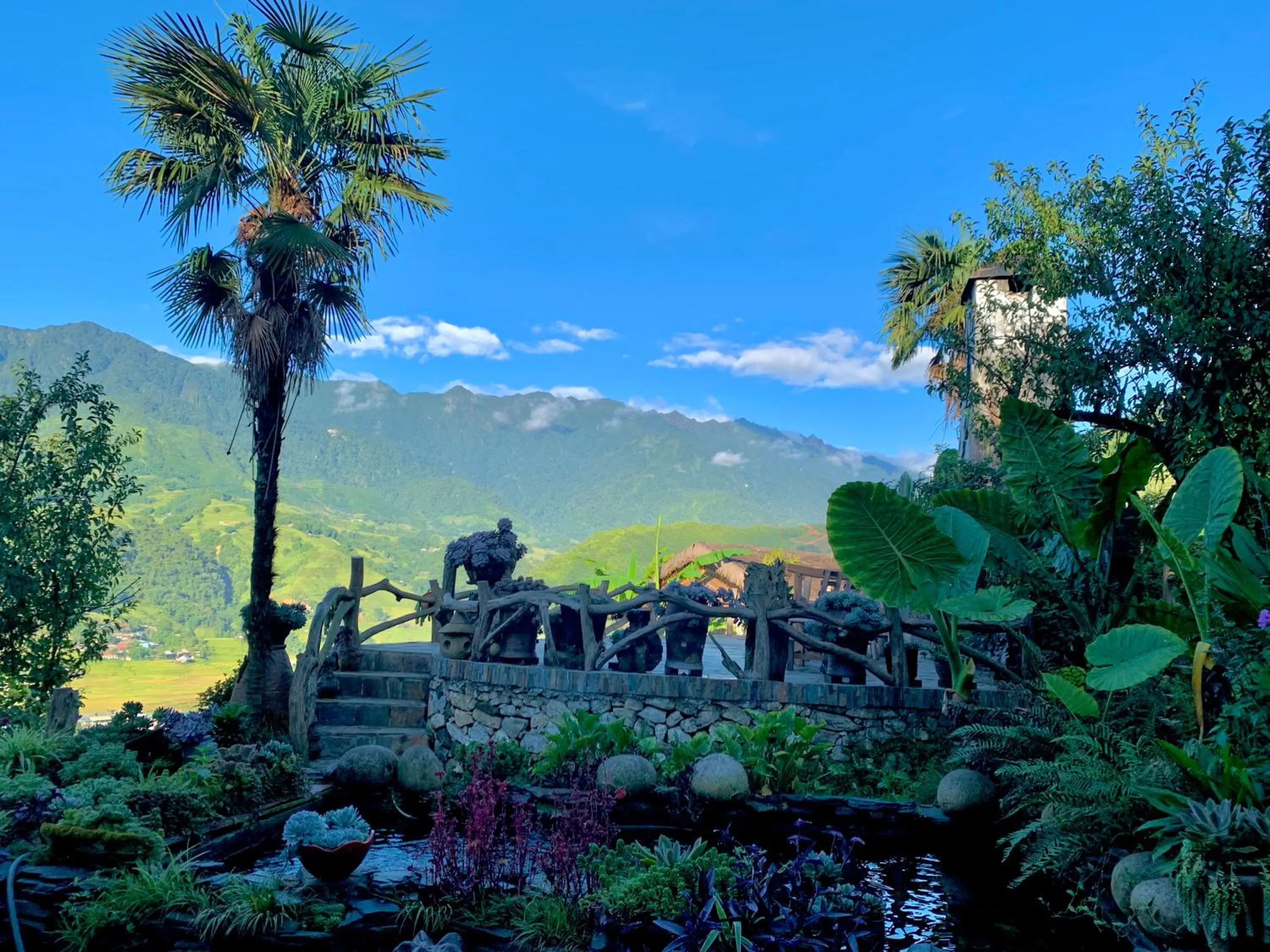 Eco Palms House - Sapa Retreat