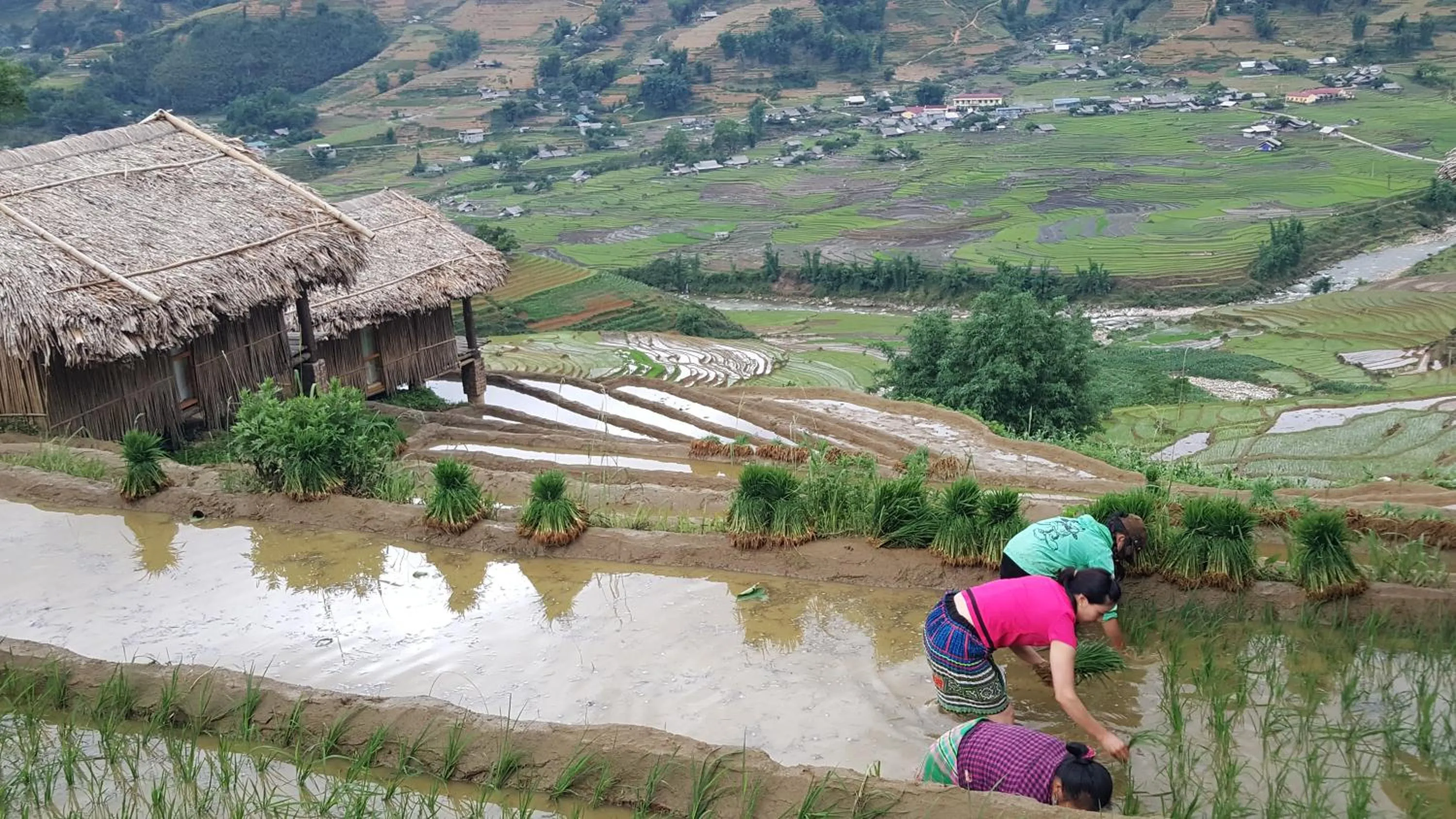 Other in Eco Palms House - Sapa Retreat