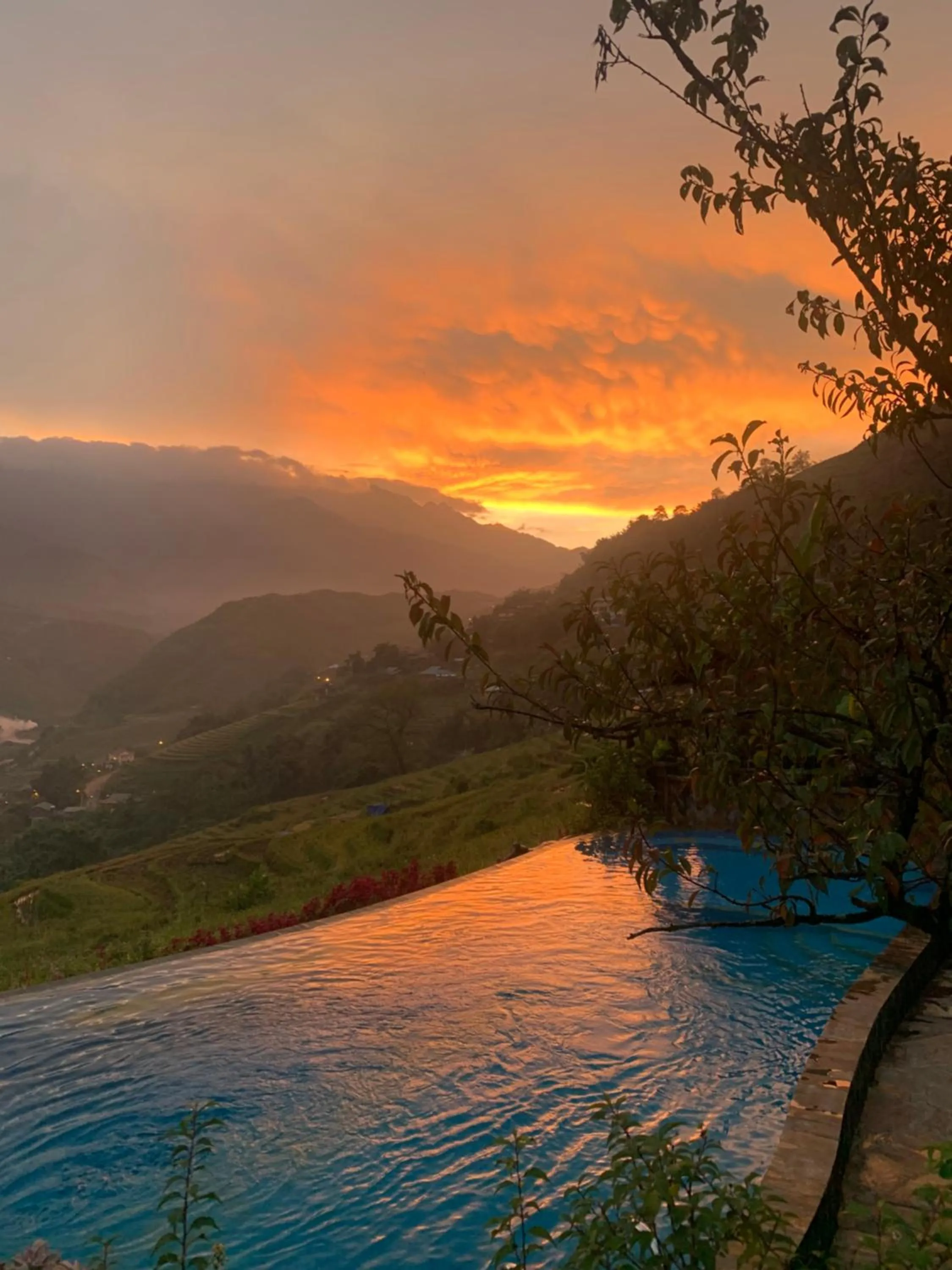 Eco Palms House - Sapa Retreat