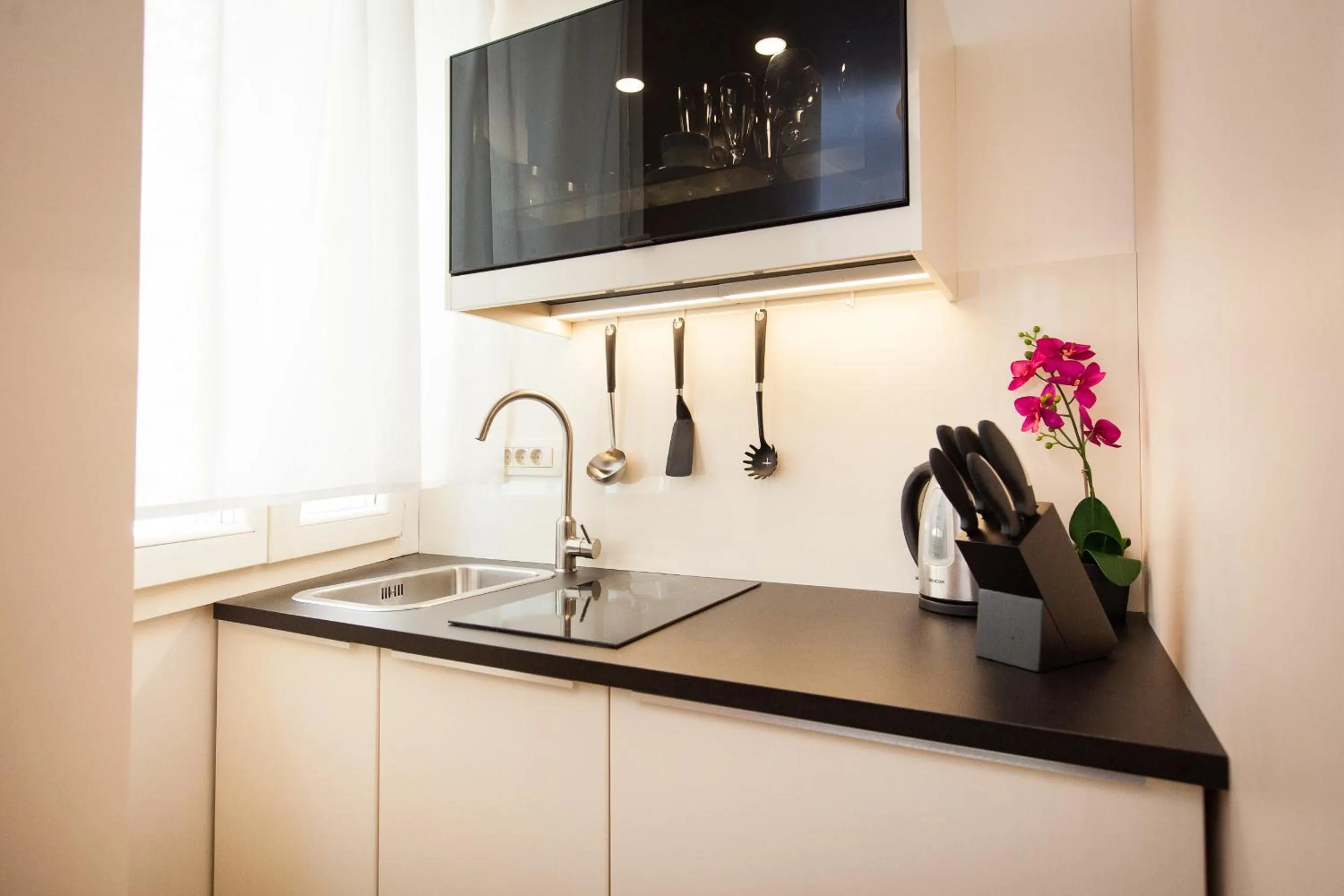 Kitchen or kitchenette in Apartments Villa Bianca