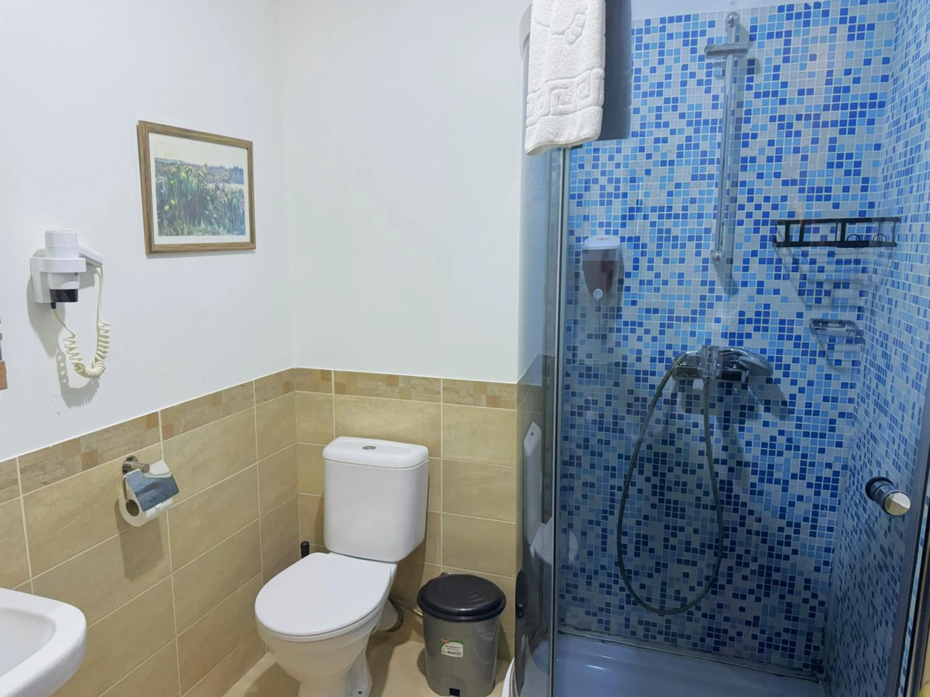 Kopala Tskneti Hotel