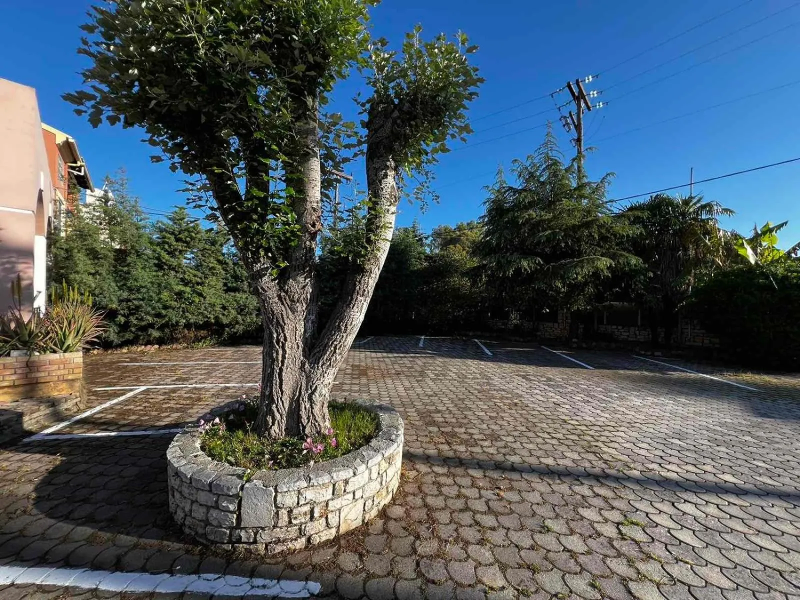 Parking in Angela Corfu