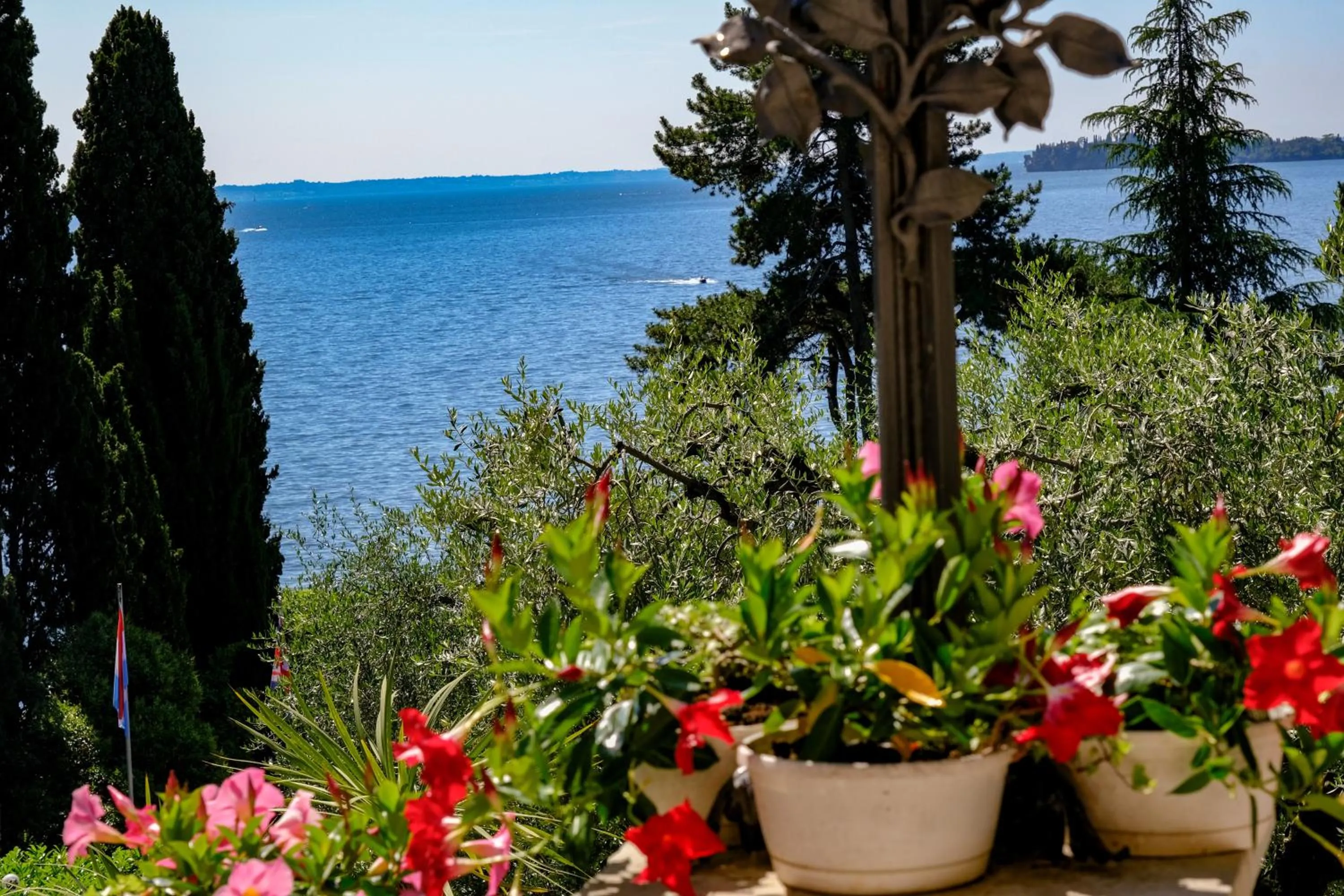 Natural landscape in Hotel Bellevue