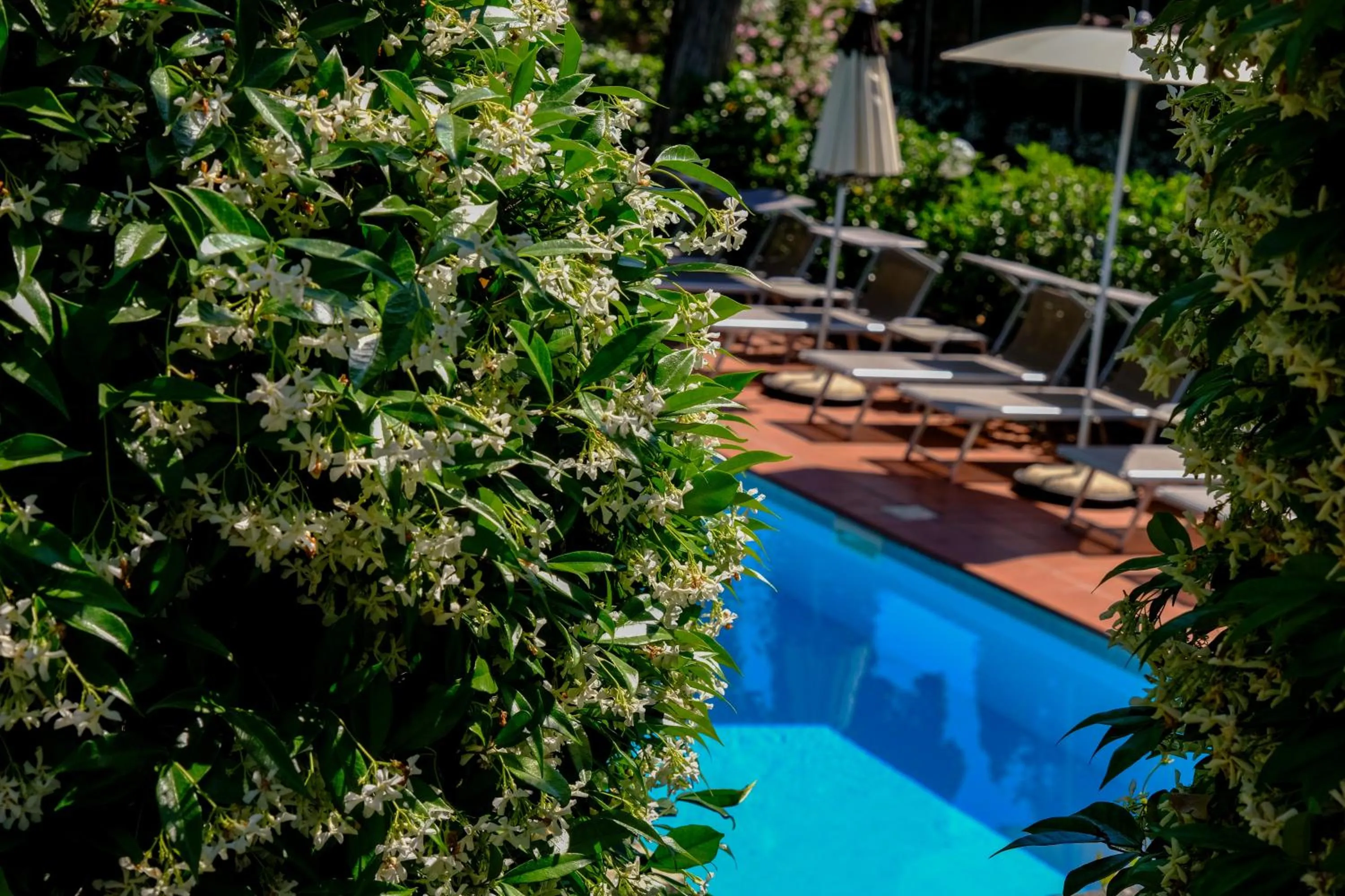 Garden view in Hotel Bellevue