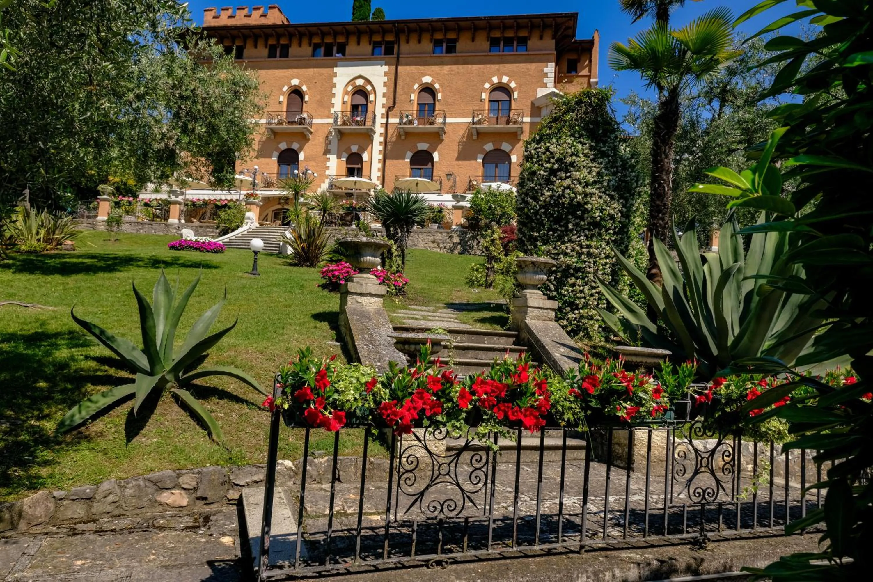 Natural landscape in Hotel Bellevue