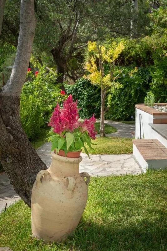 Garden in B&b La Giara