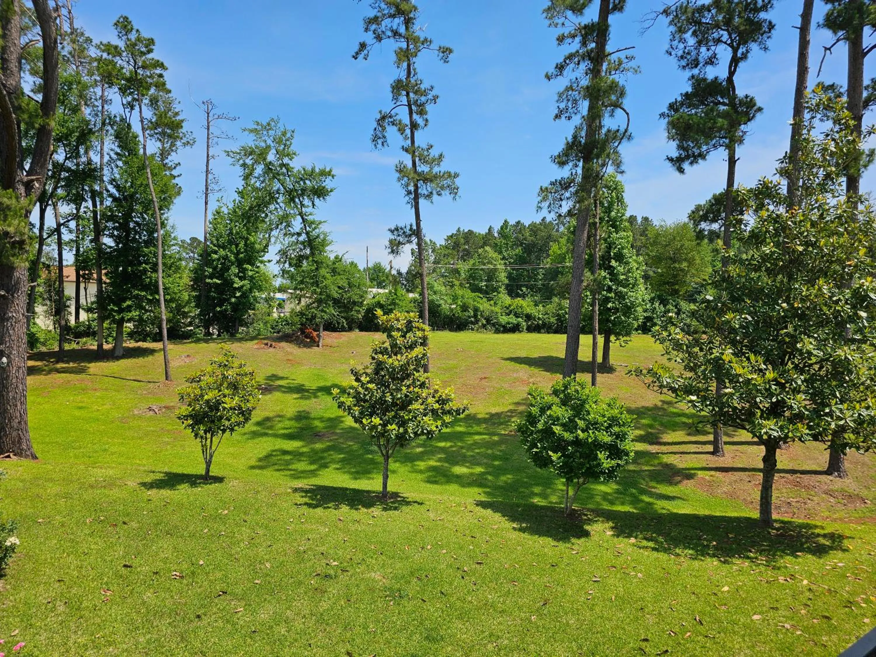Natural landscape in San Augustine Inn